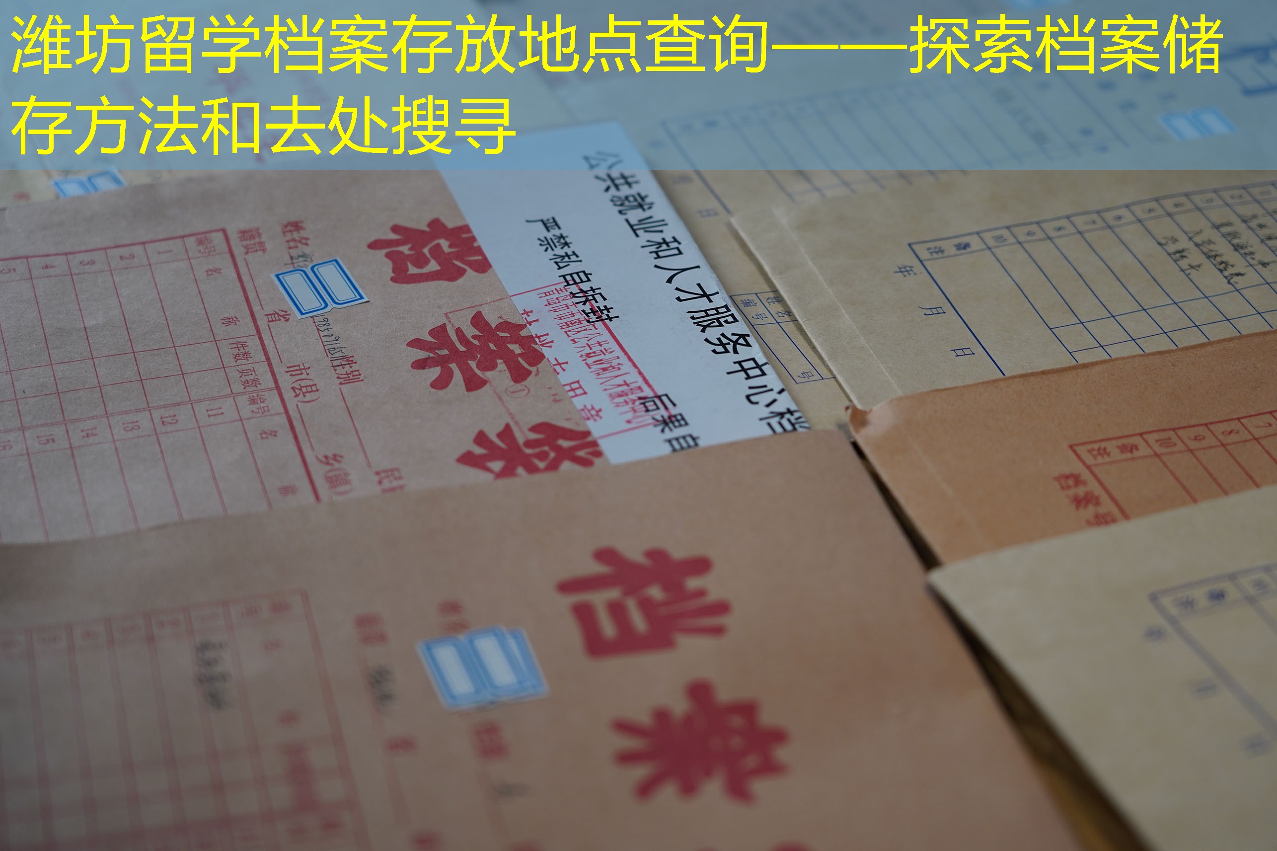 档案查询