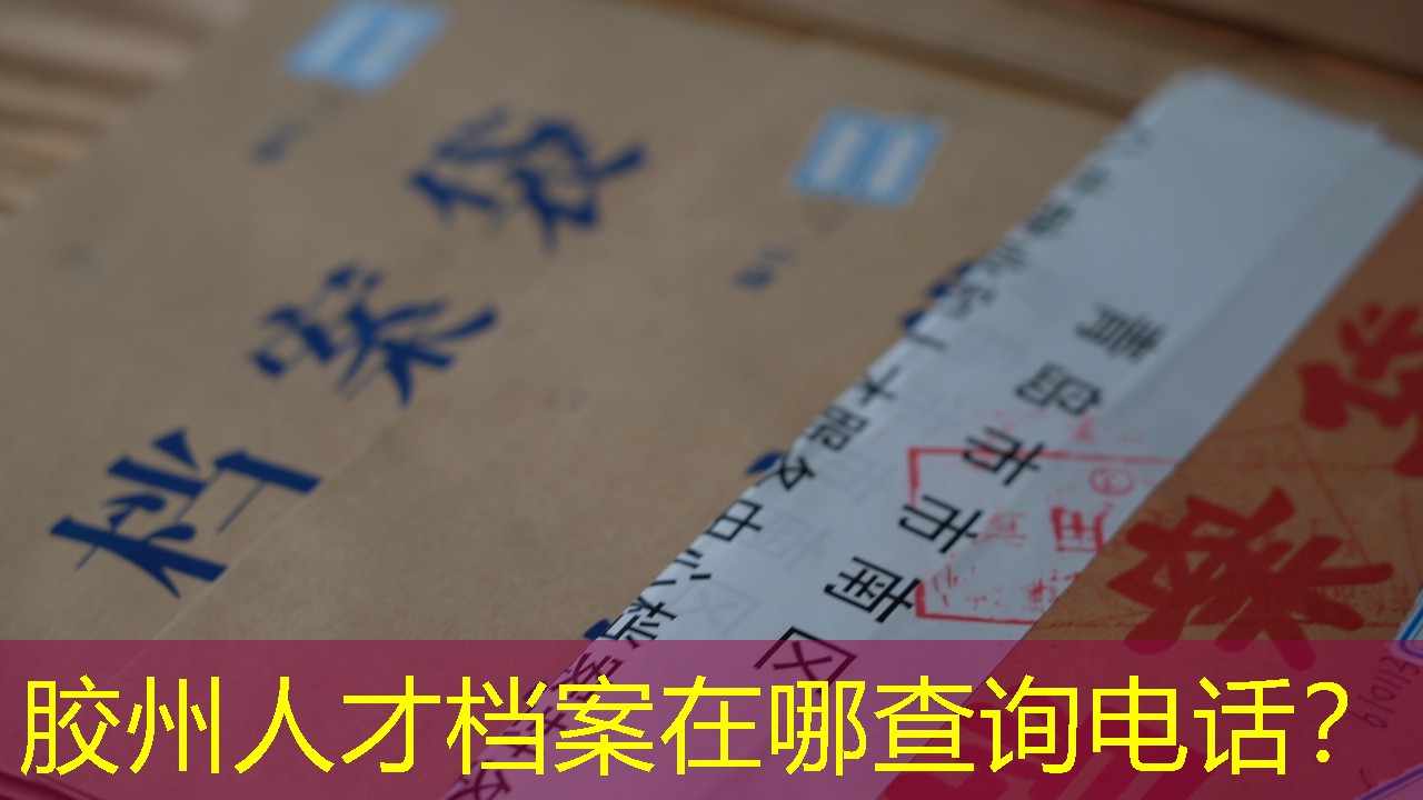 档案查询