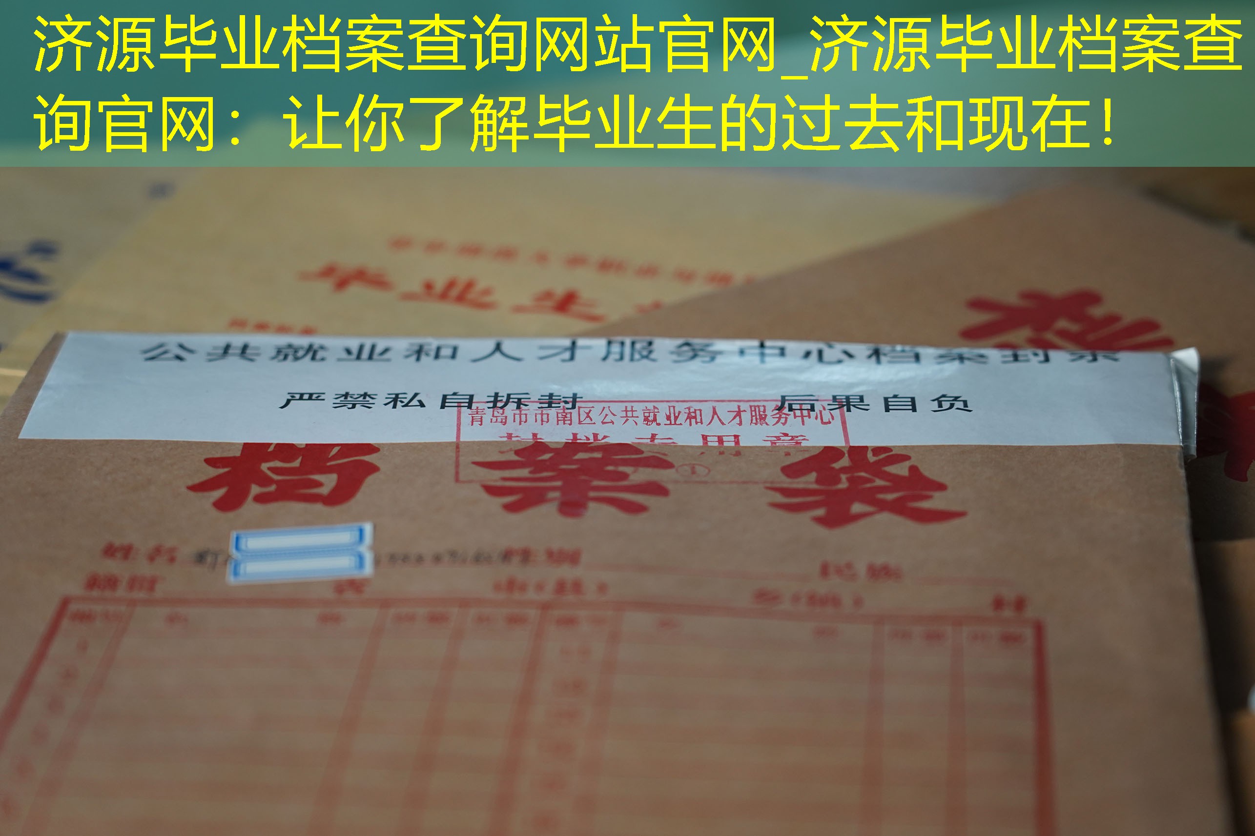 档案查询