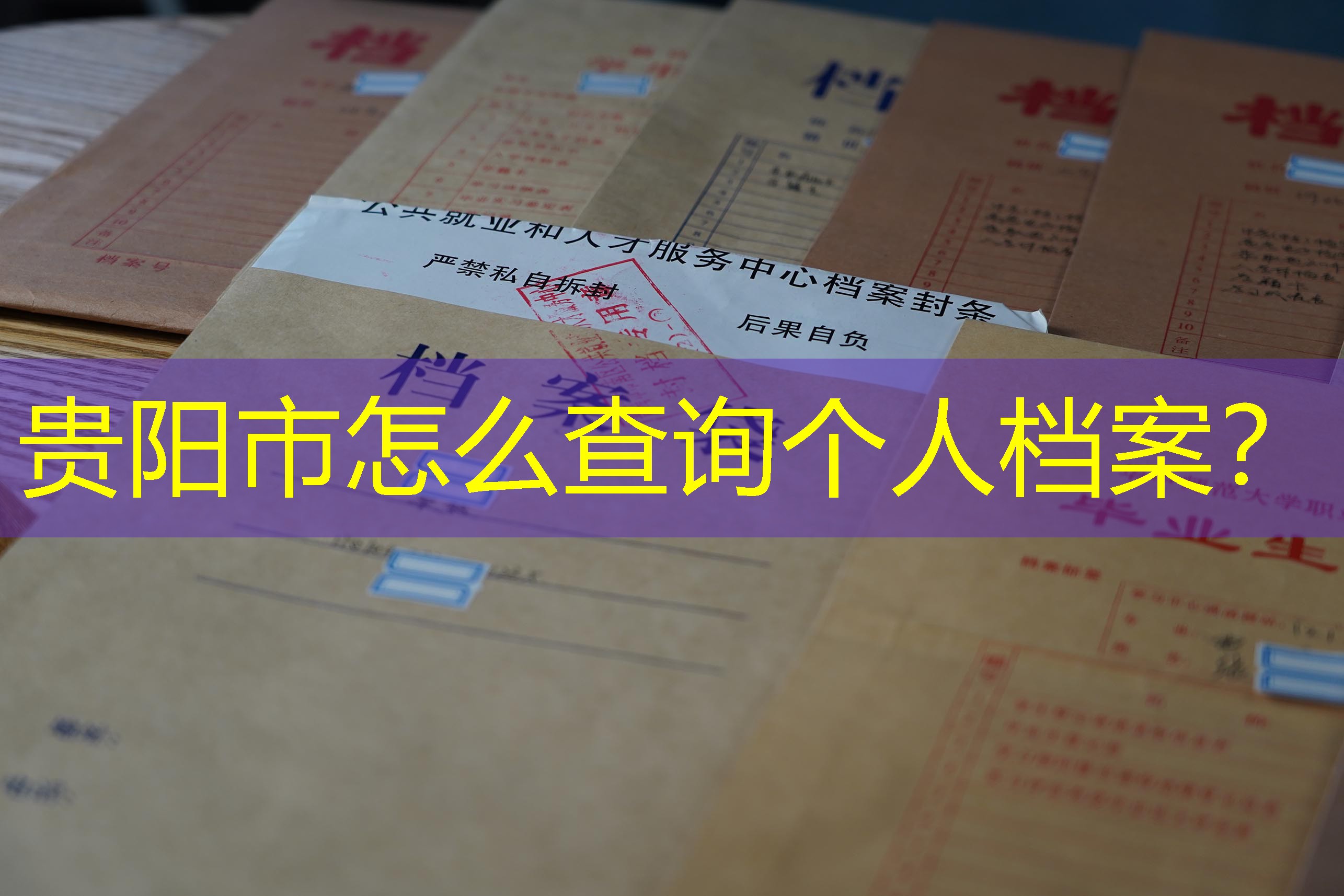 档案查询