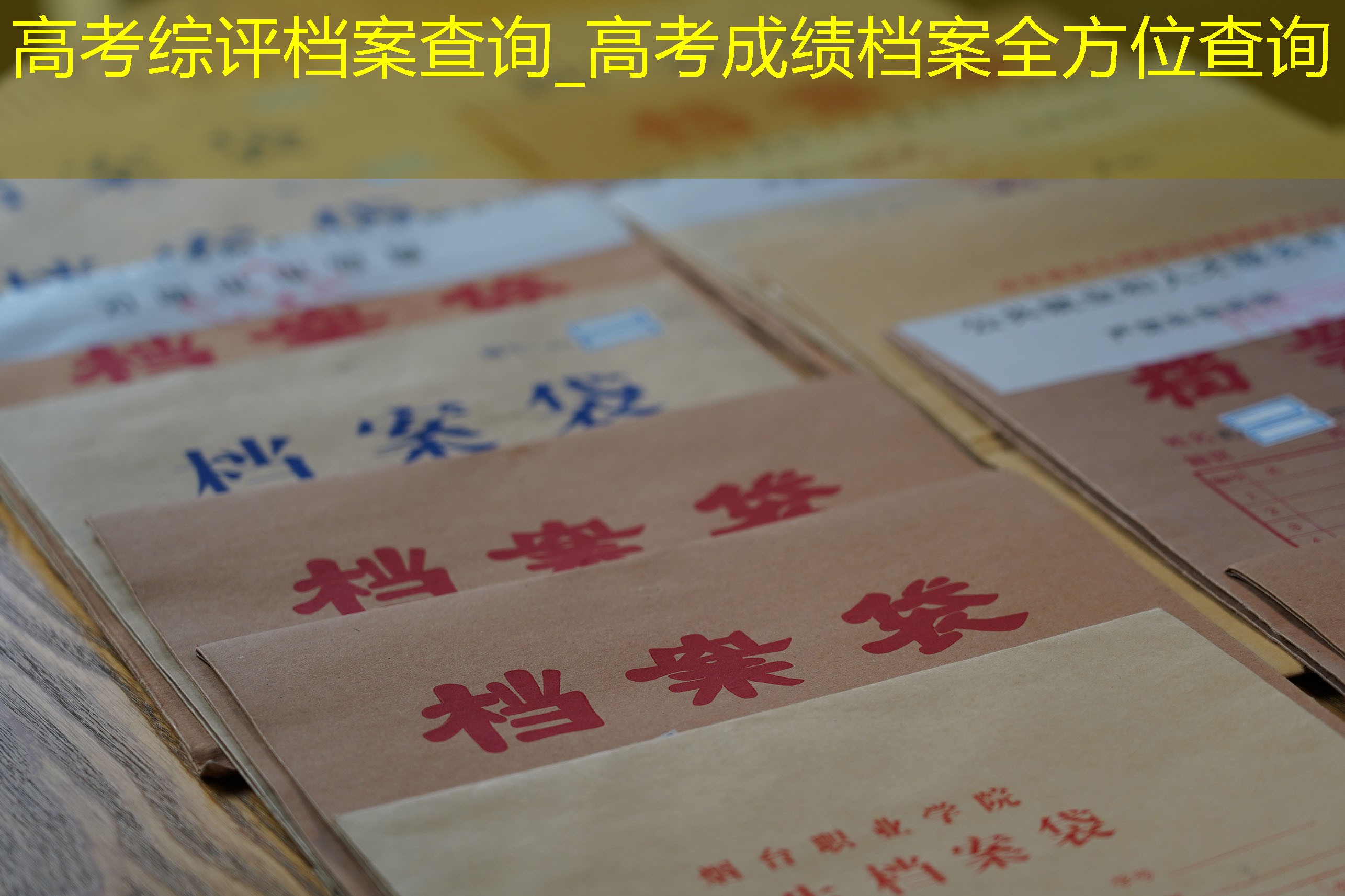 档案查询