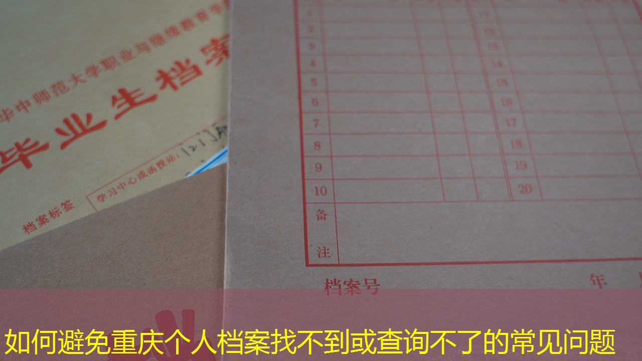 档案查询