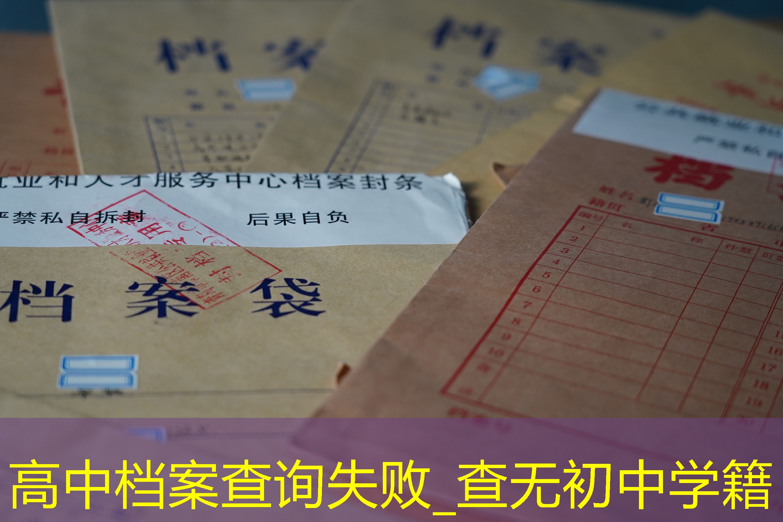 档案查询