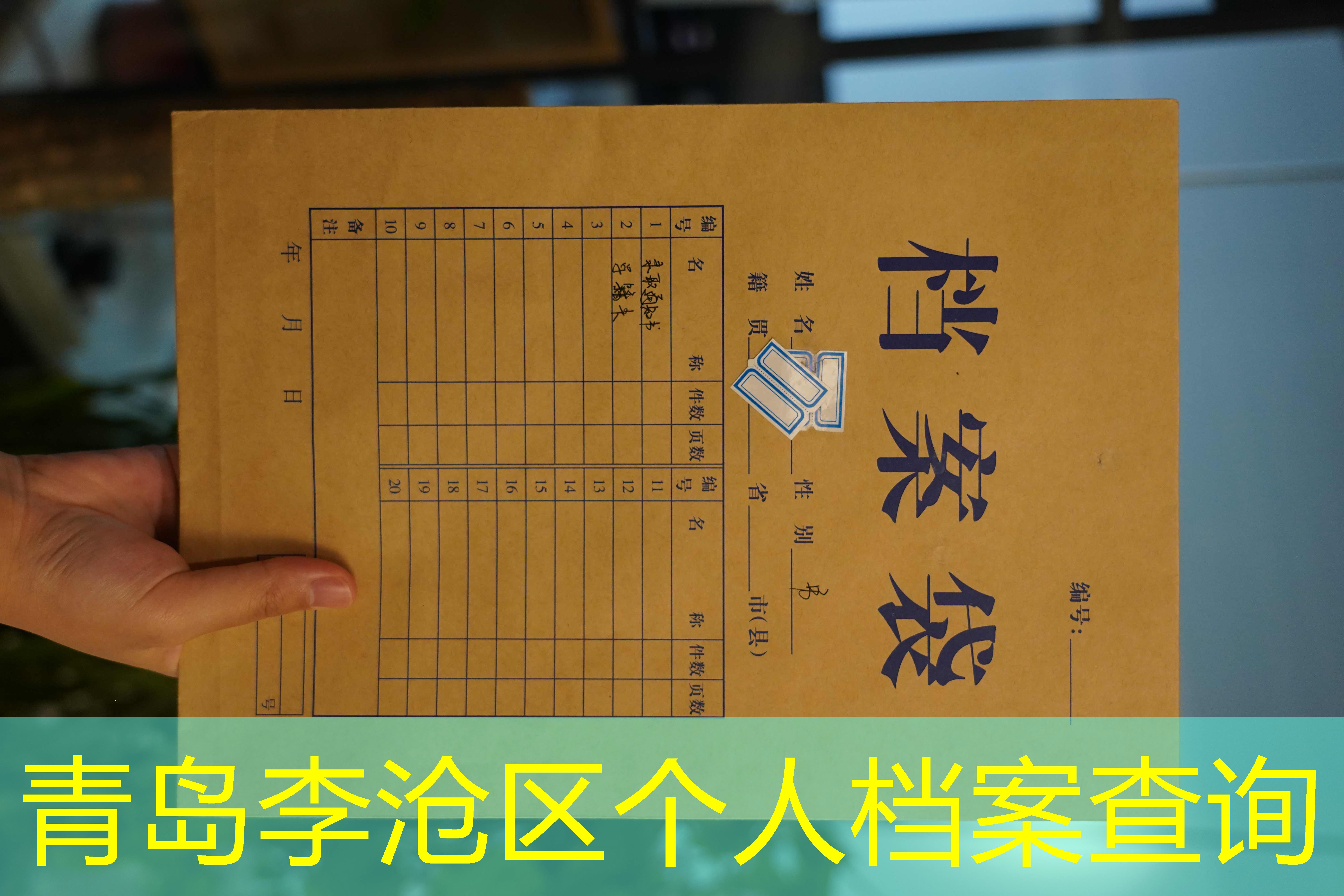档案查询