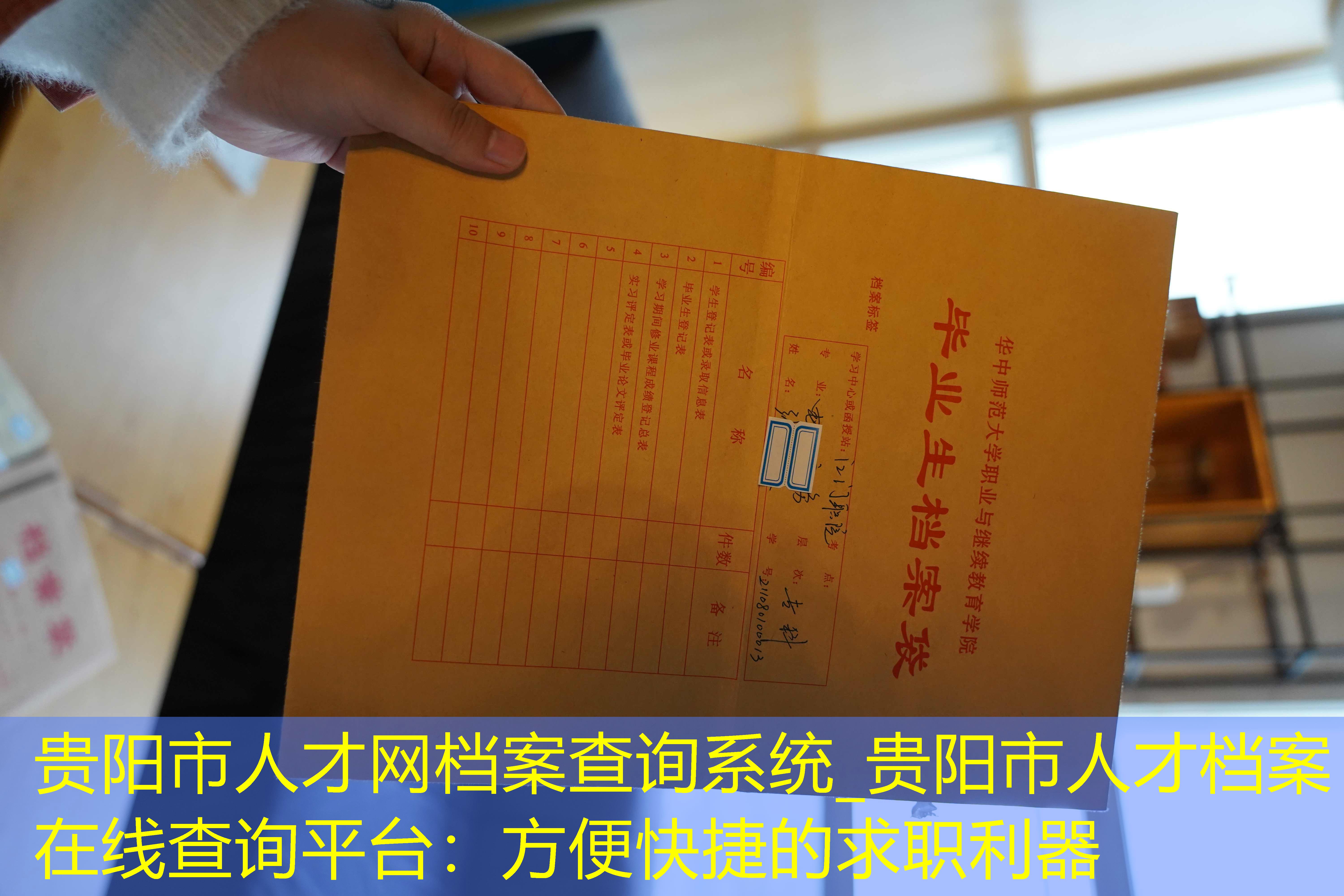 档案查询