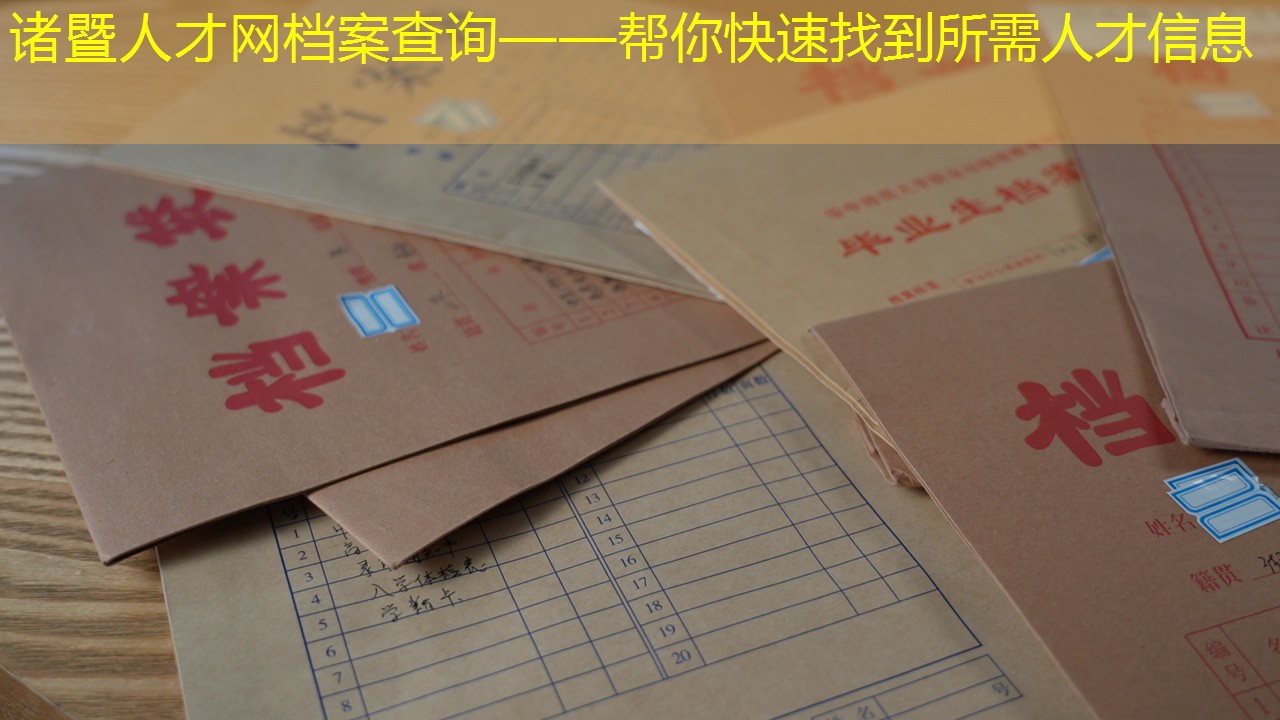 档案查询