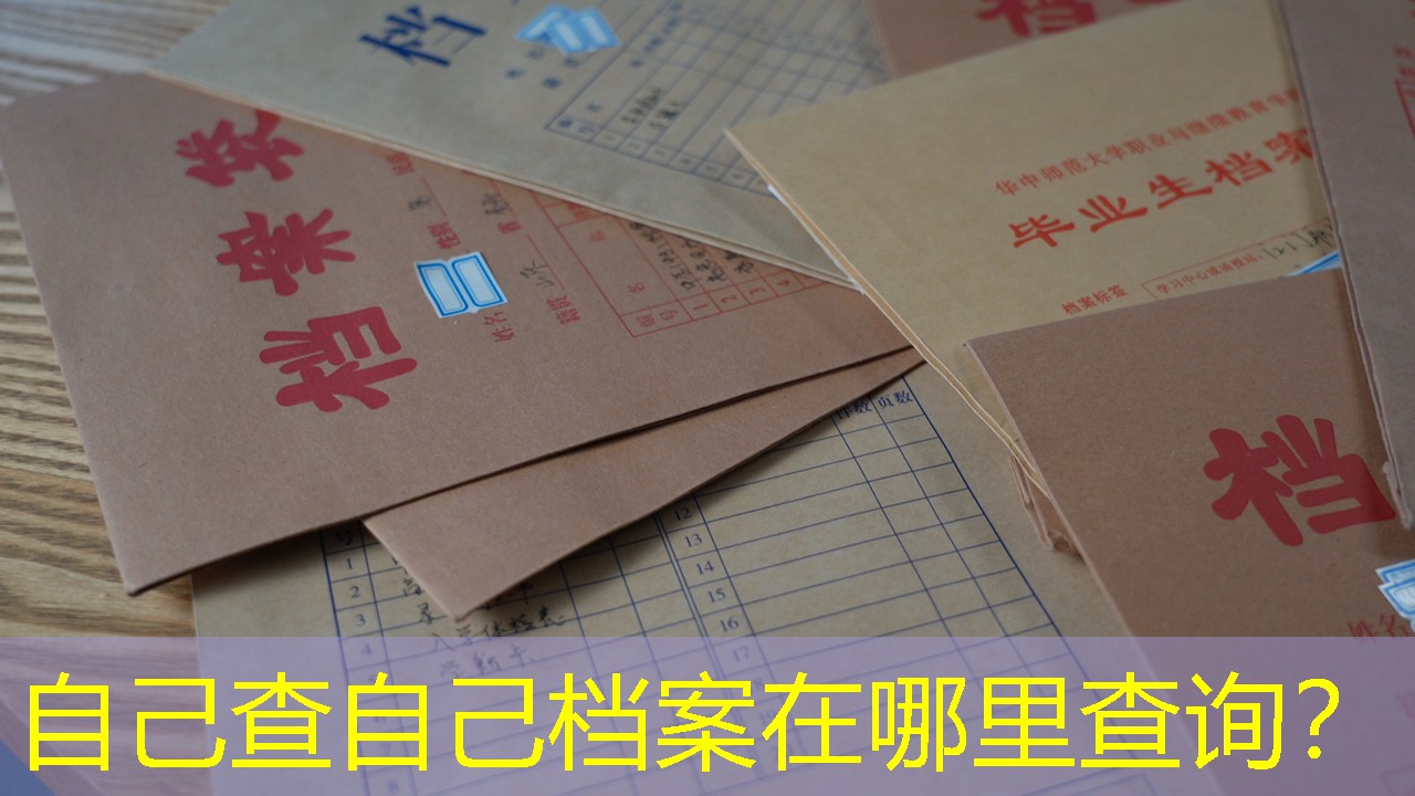 档案查询
