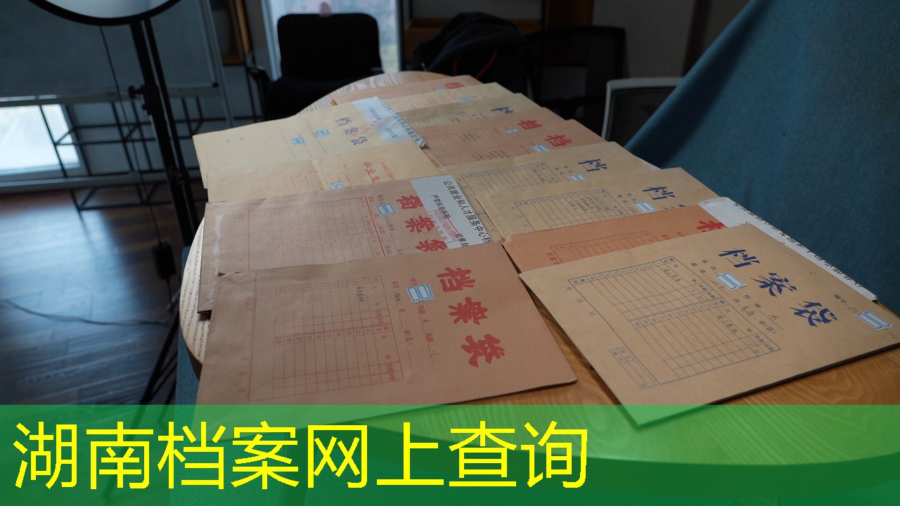 档案查询