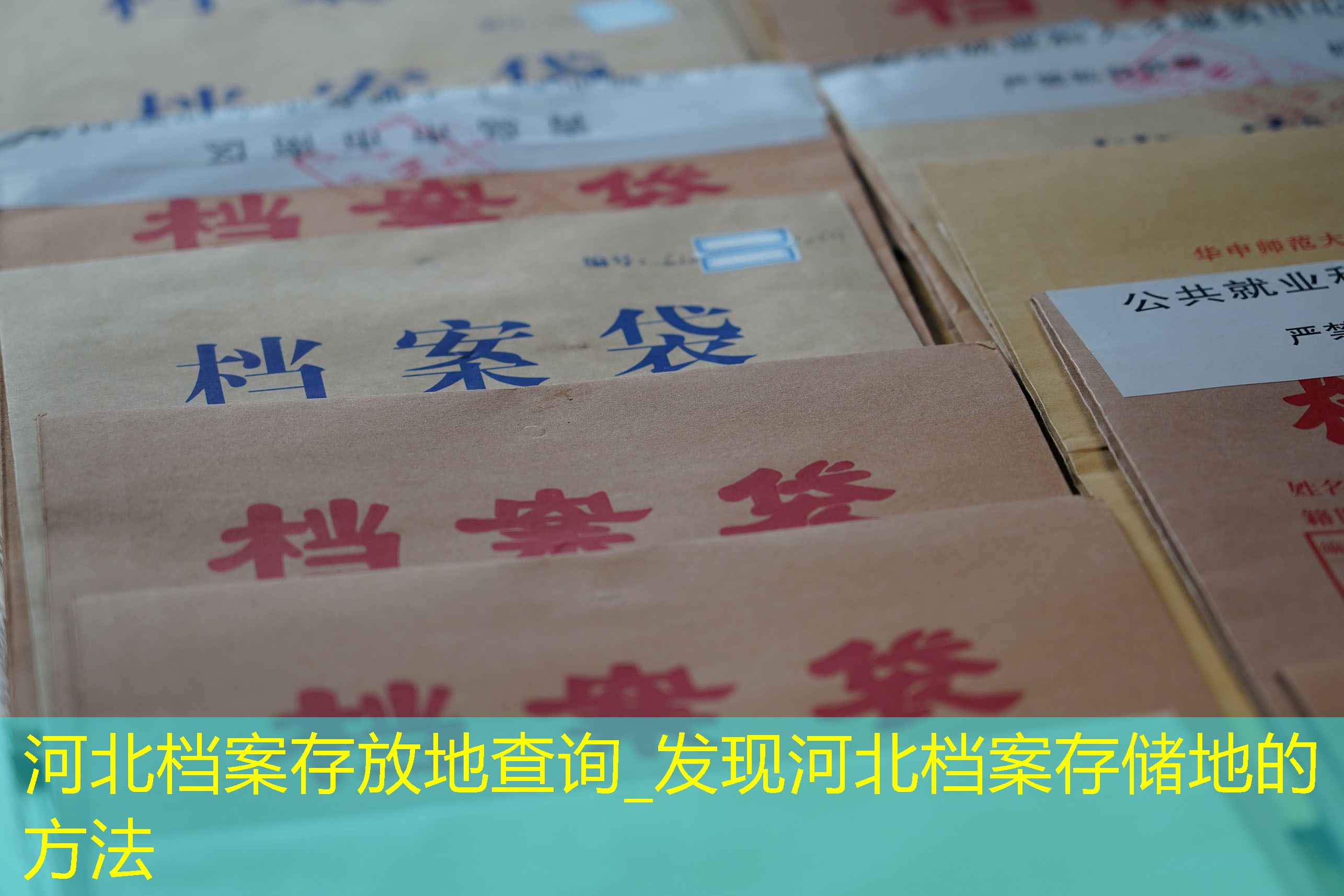 档案查询