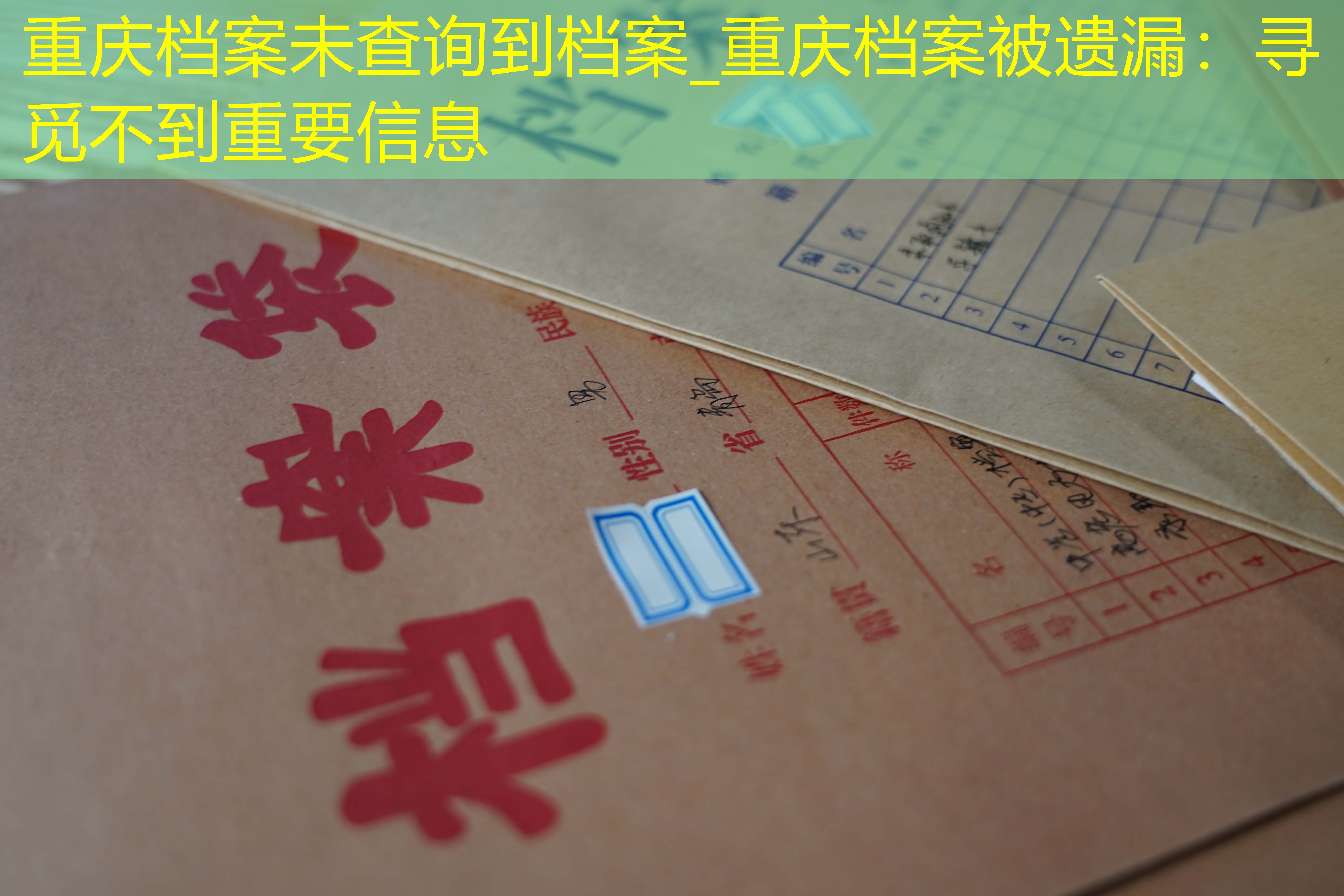 档案查询