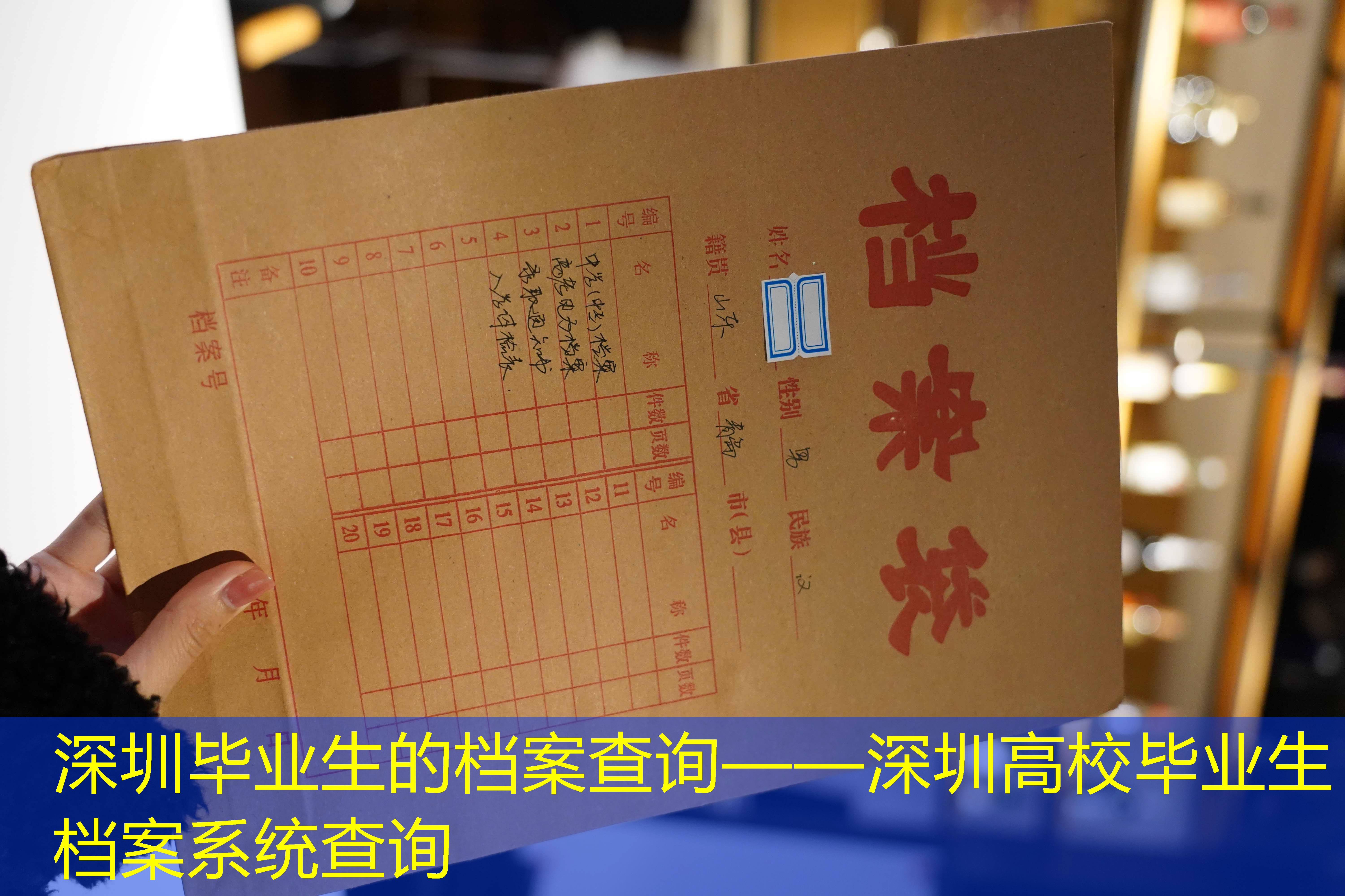 档案查询