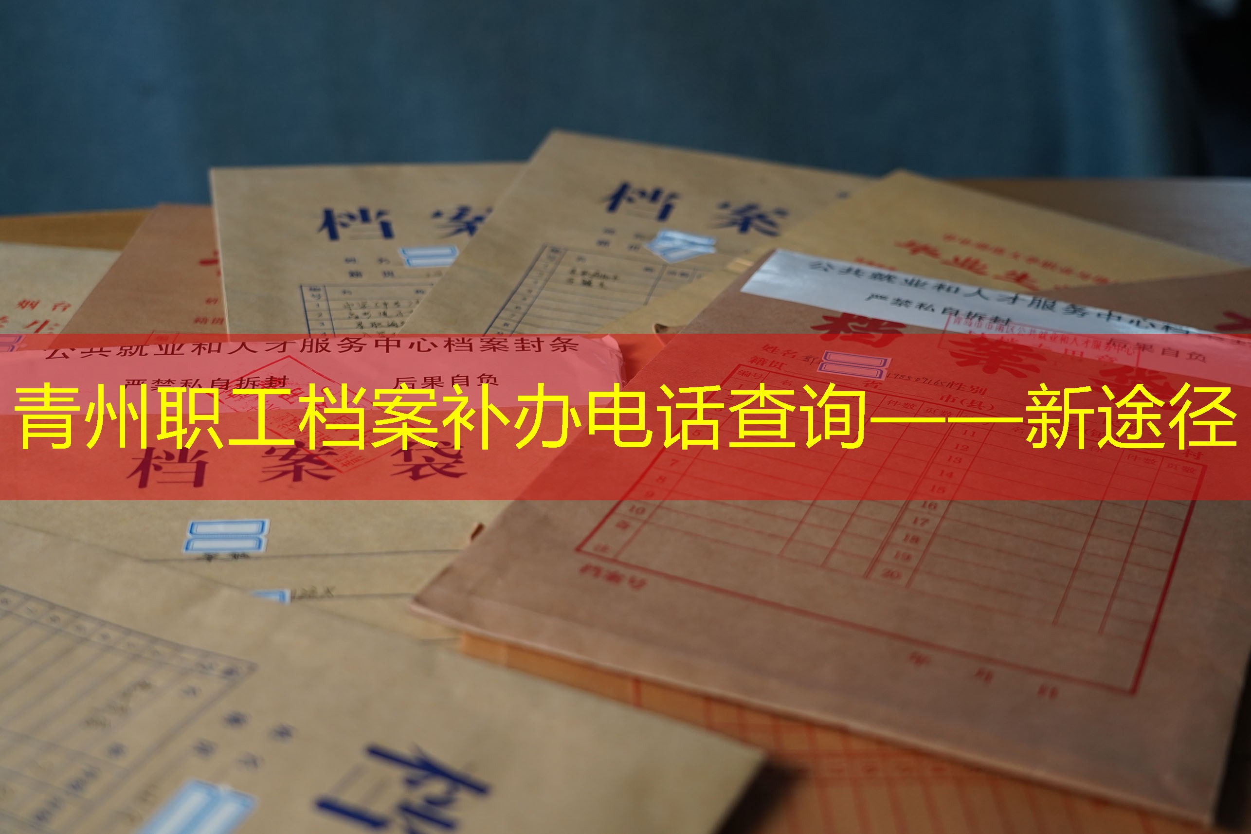 档案查询