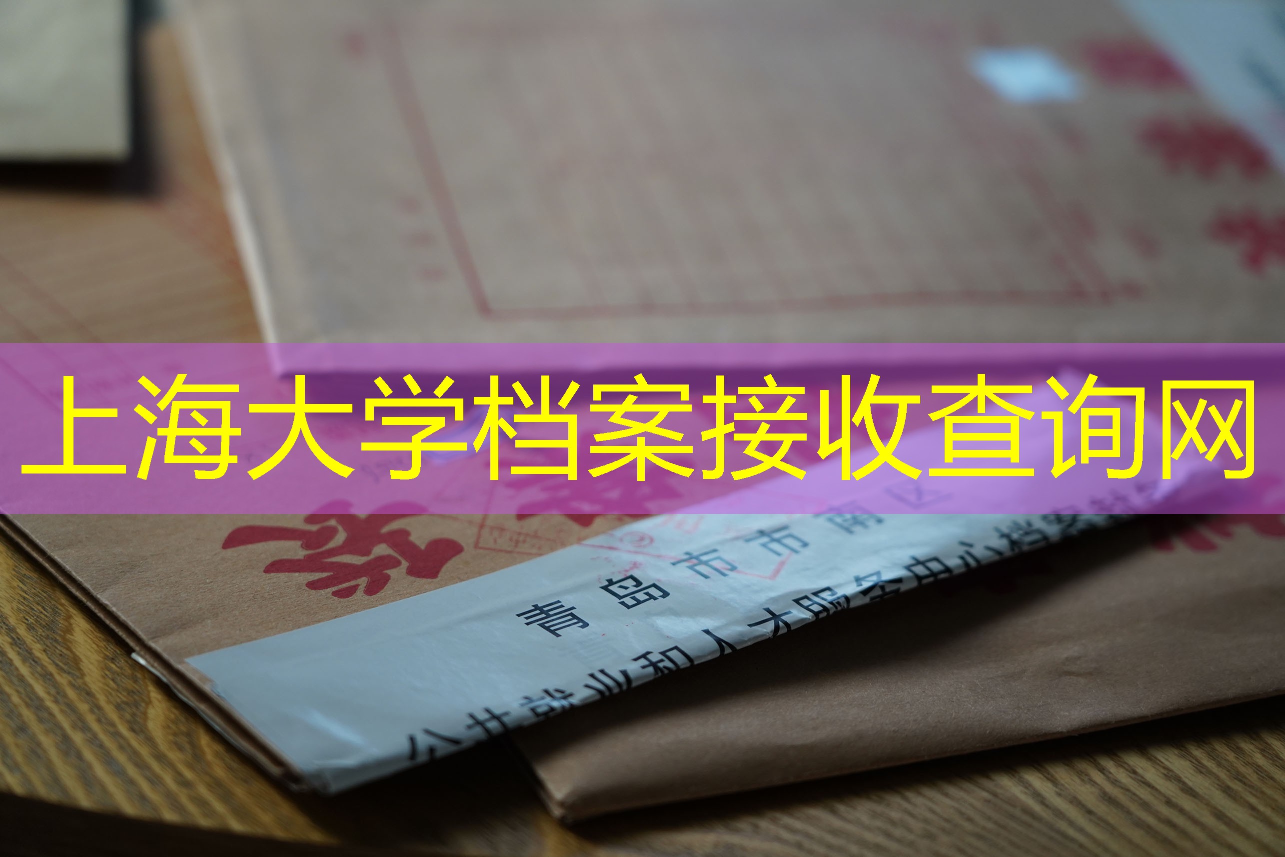 档案查询