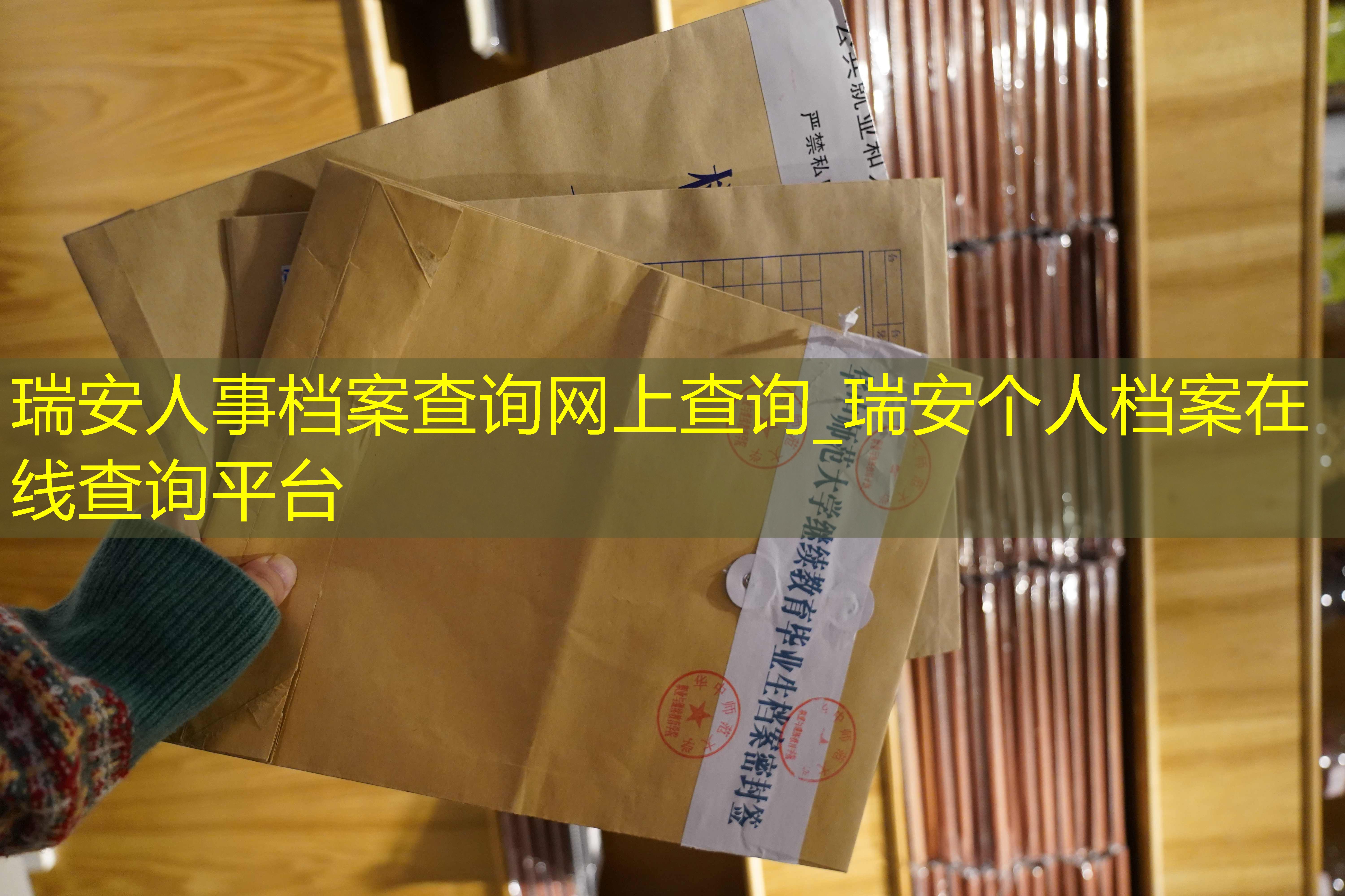 档案查询