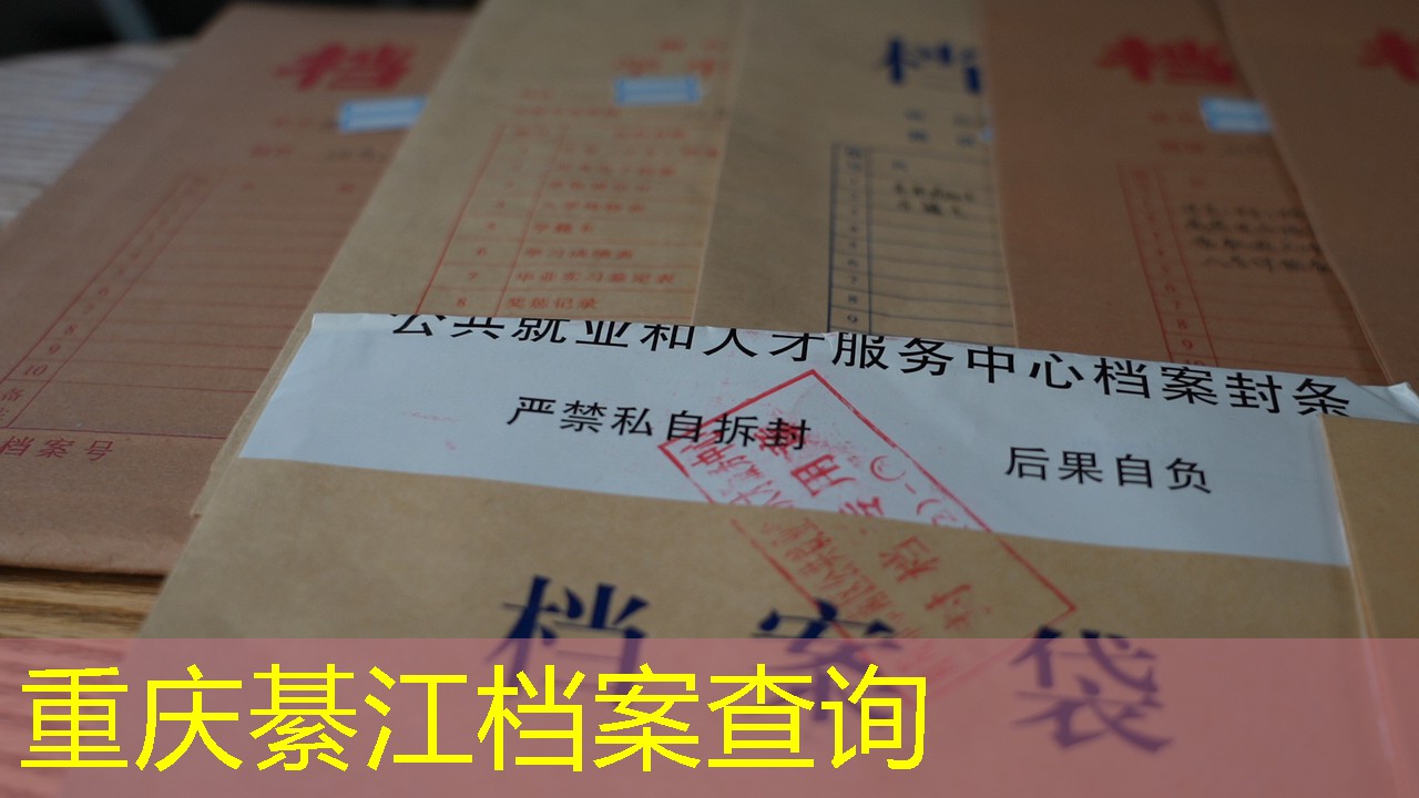 档案查询
