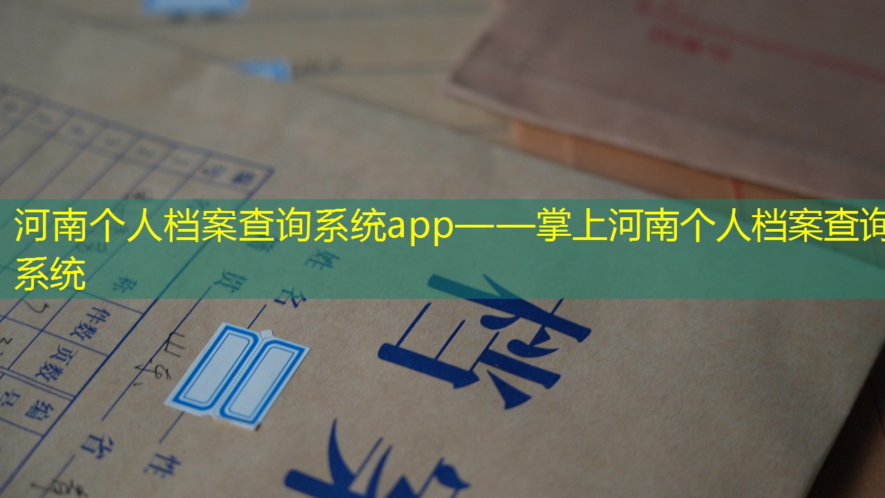 档案查询