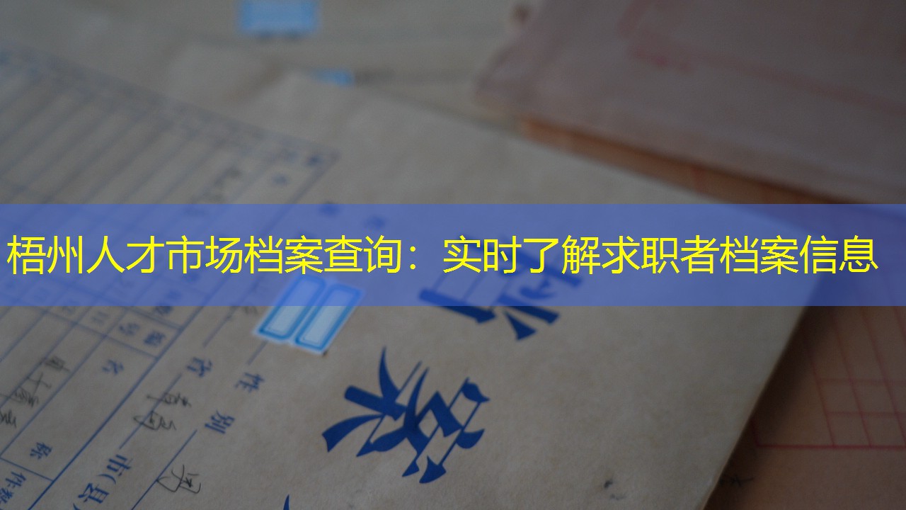 档案查询