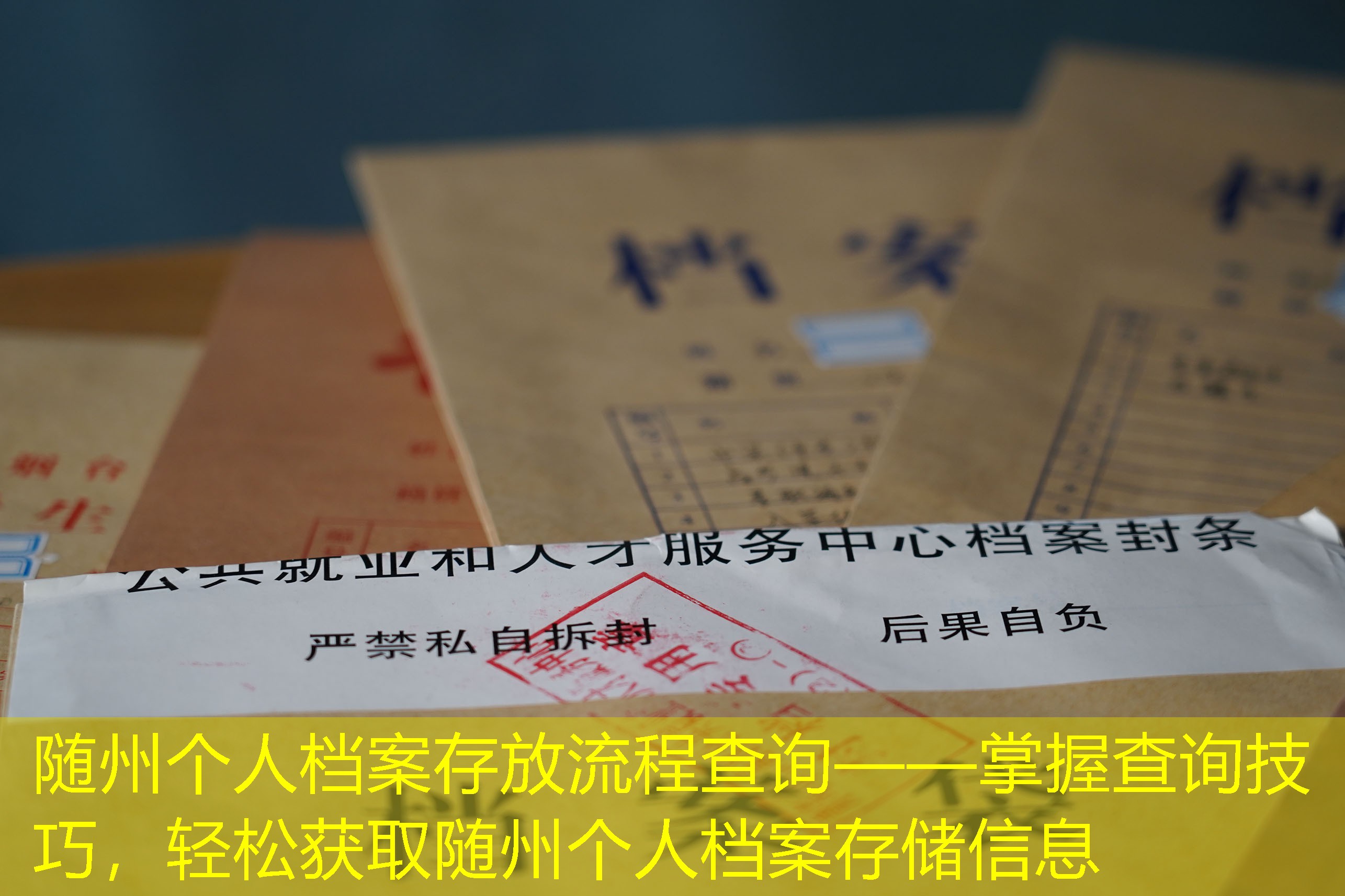 档案查询