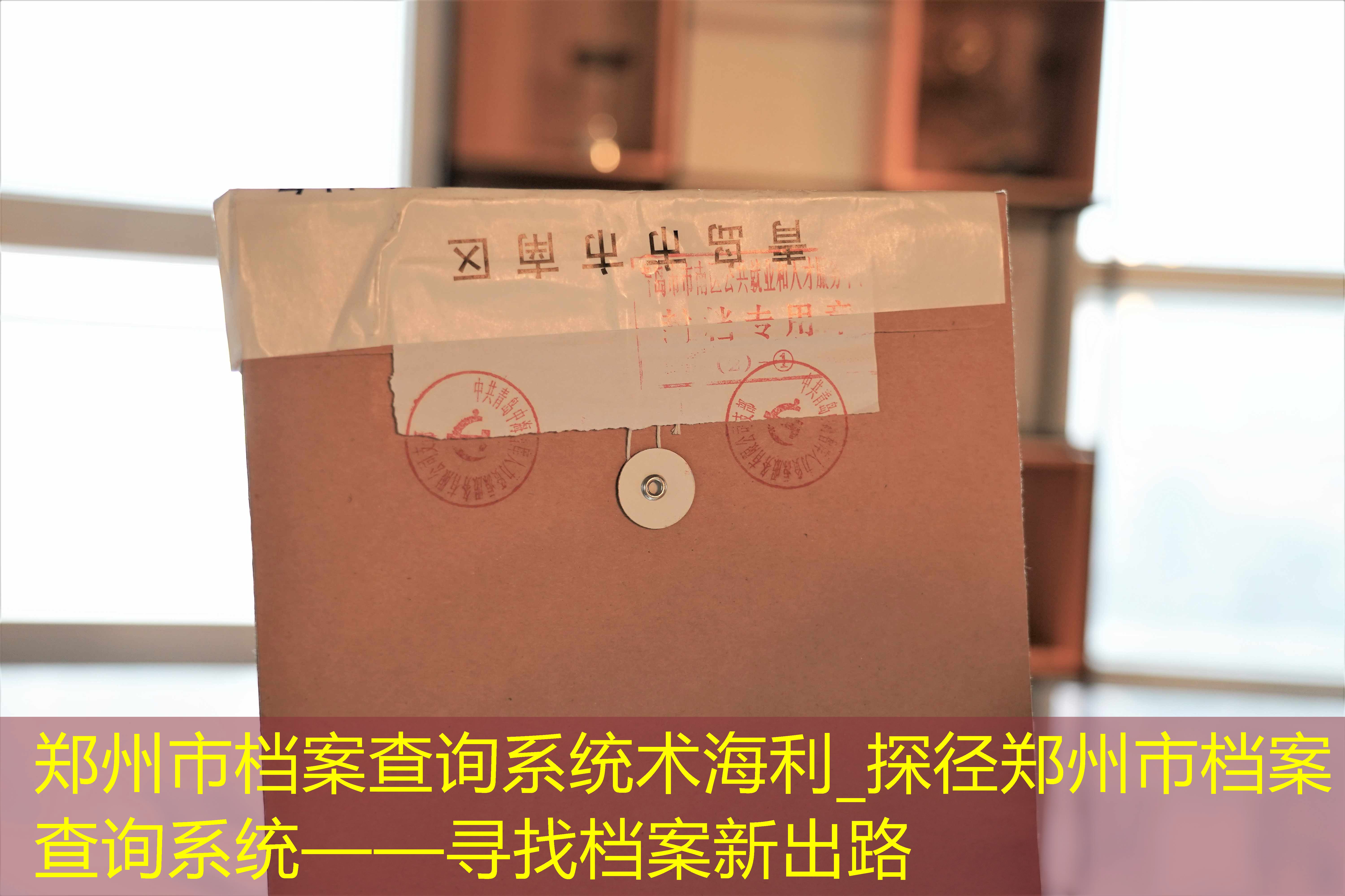 档案查询