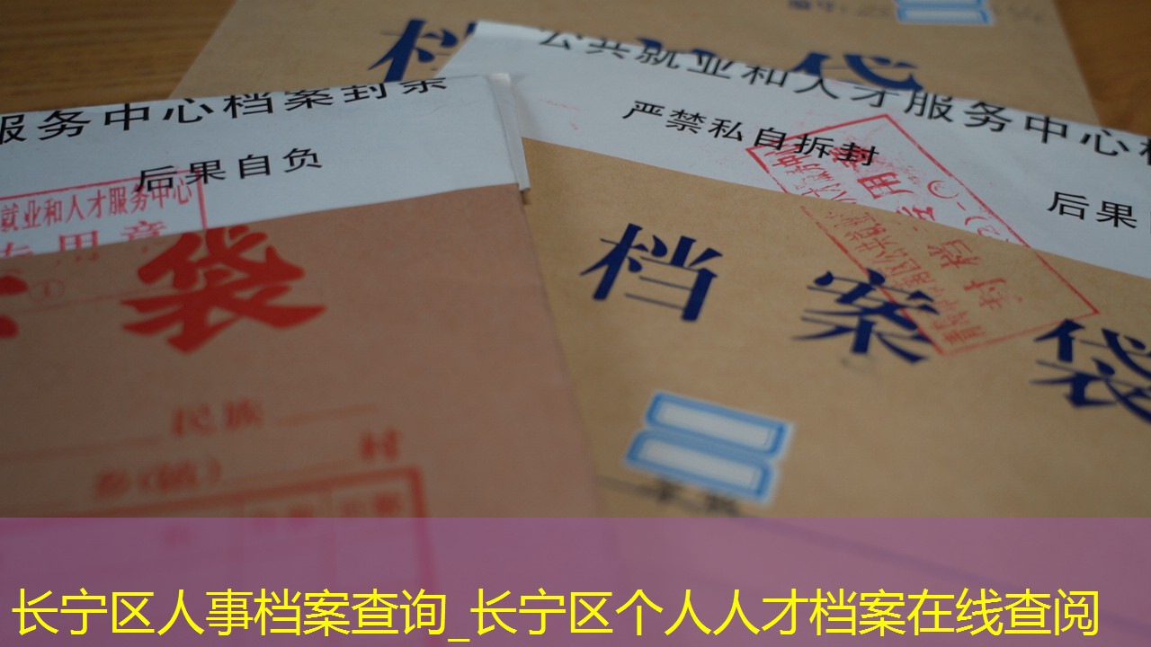档案查询