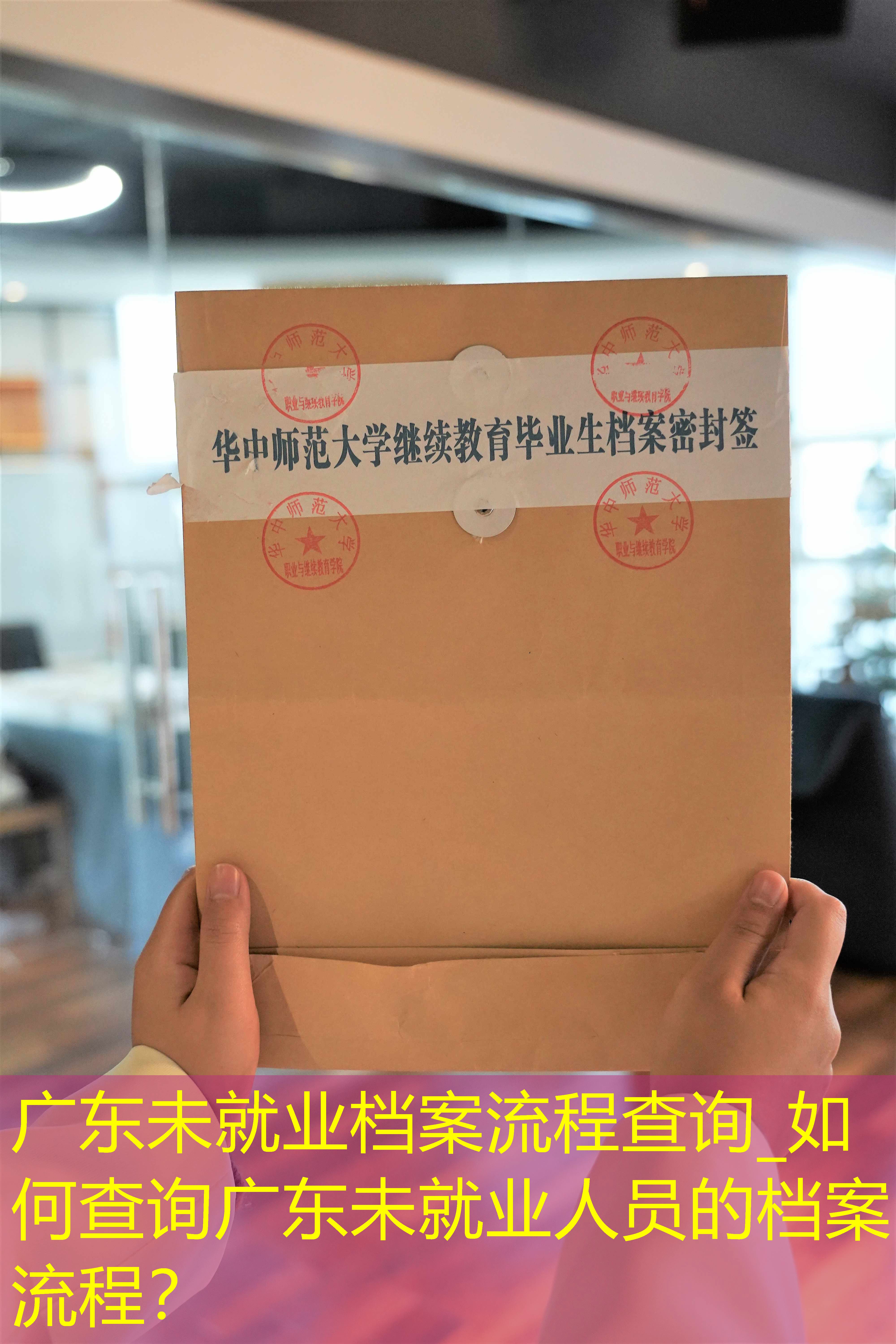 档案查询