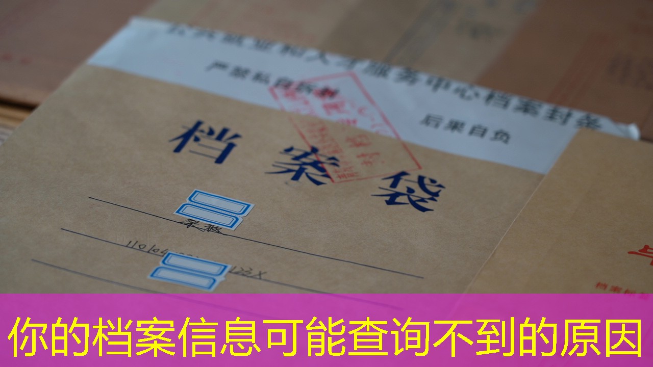 档案查询