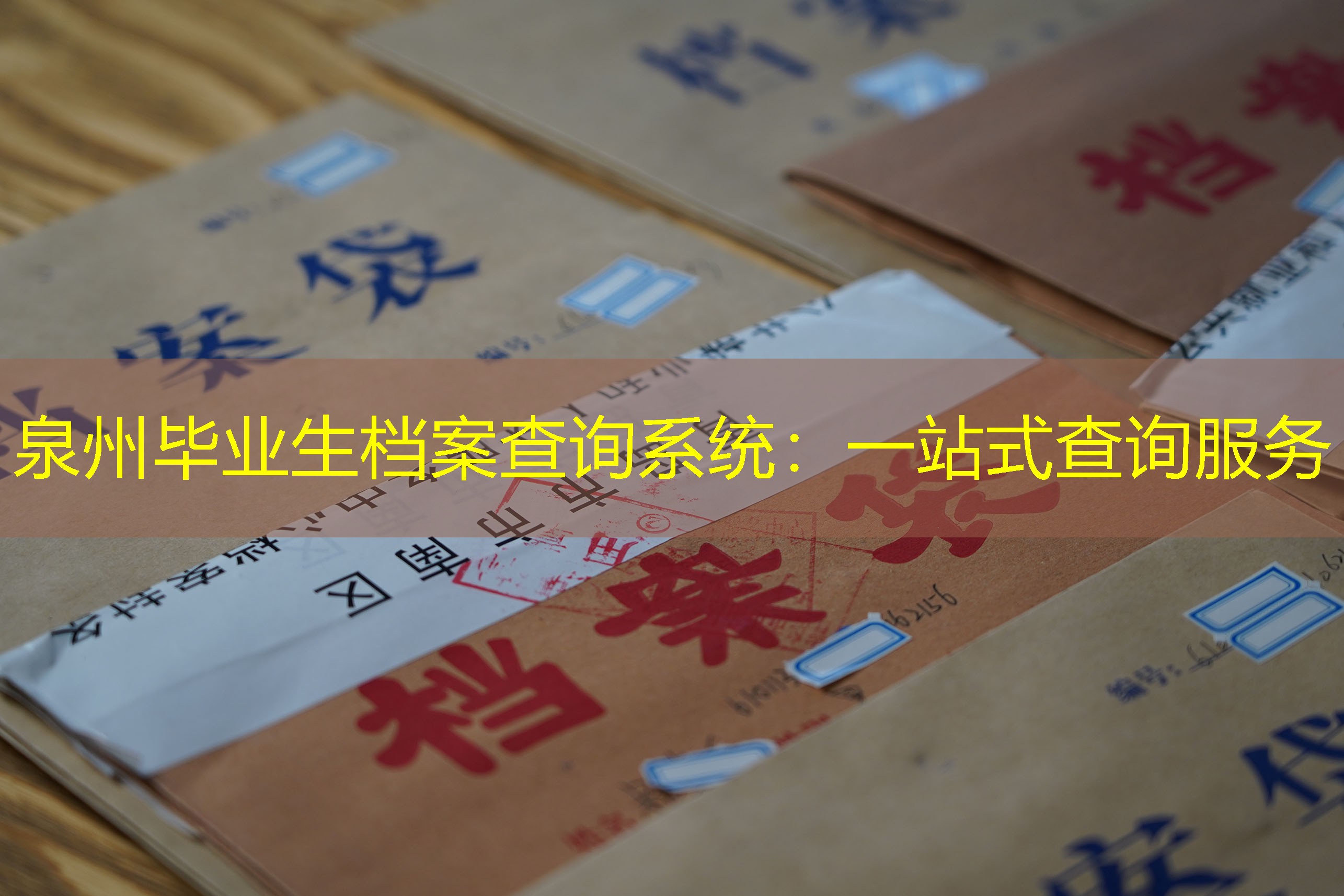 档案查询