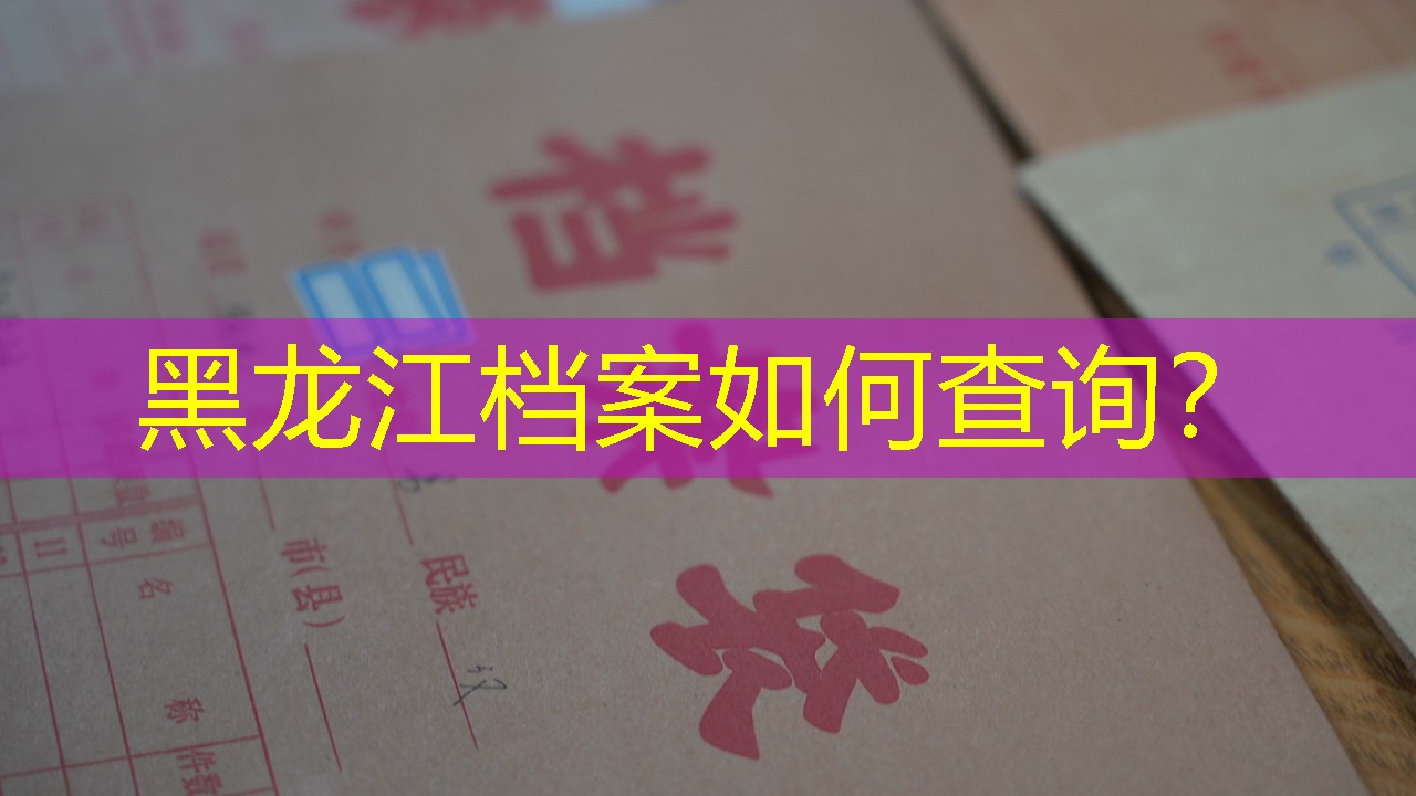 档案查询