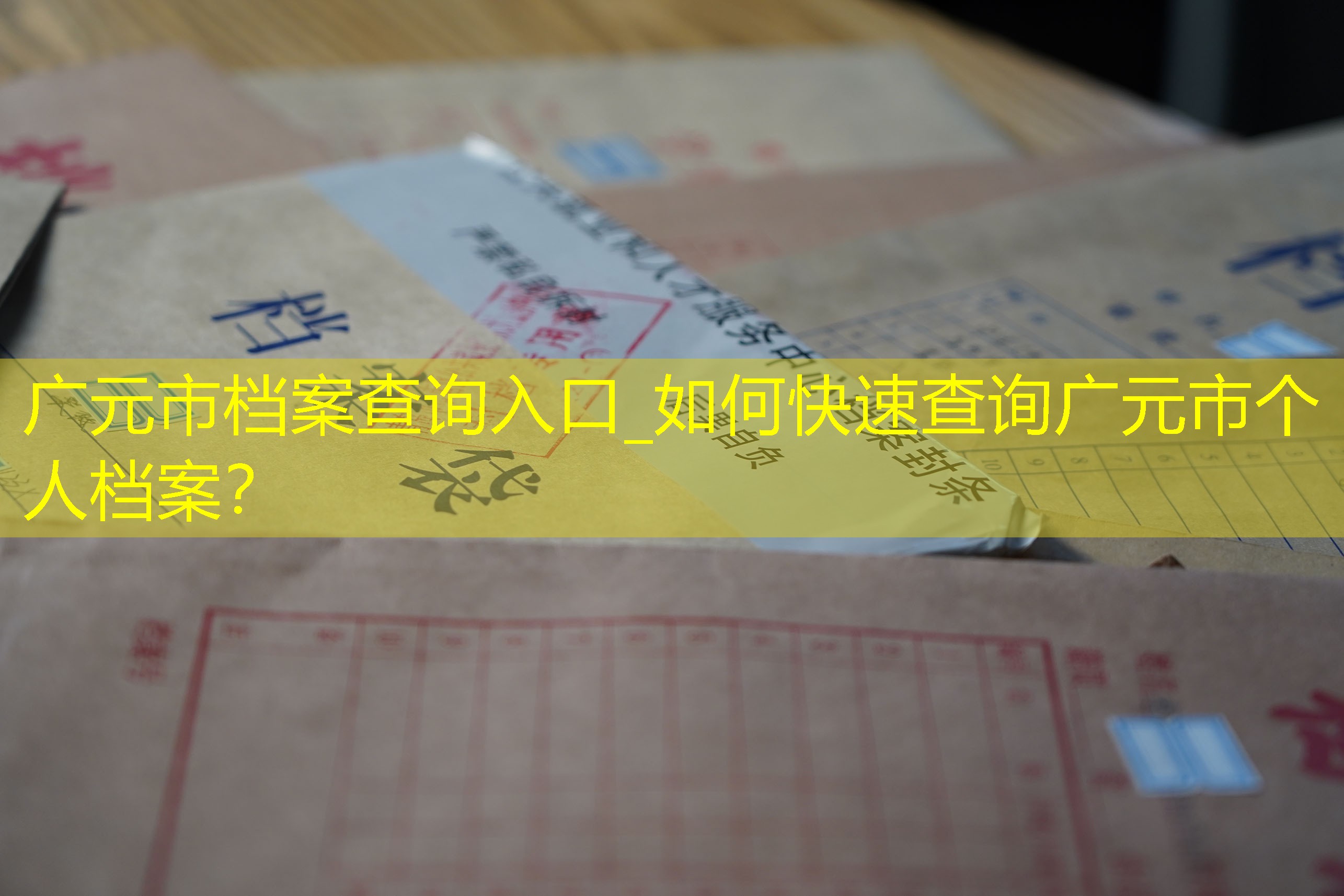 档案查询