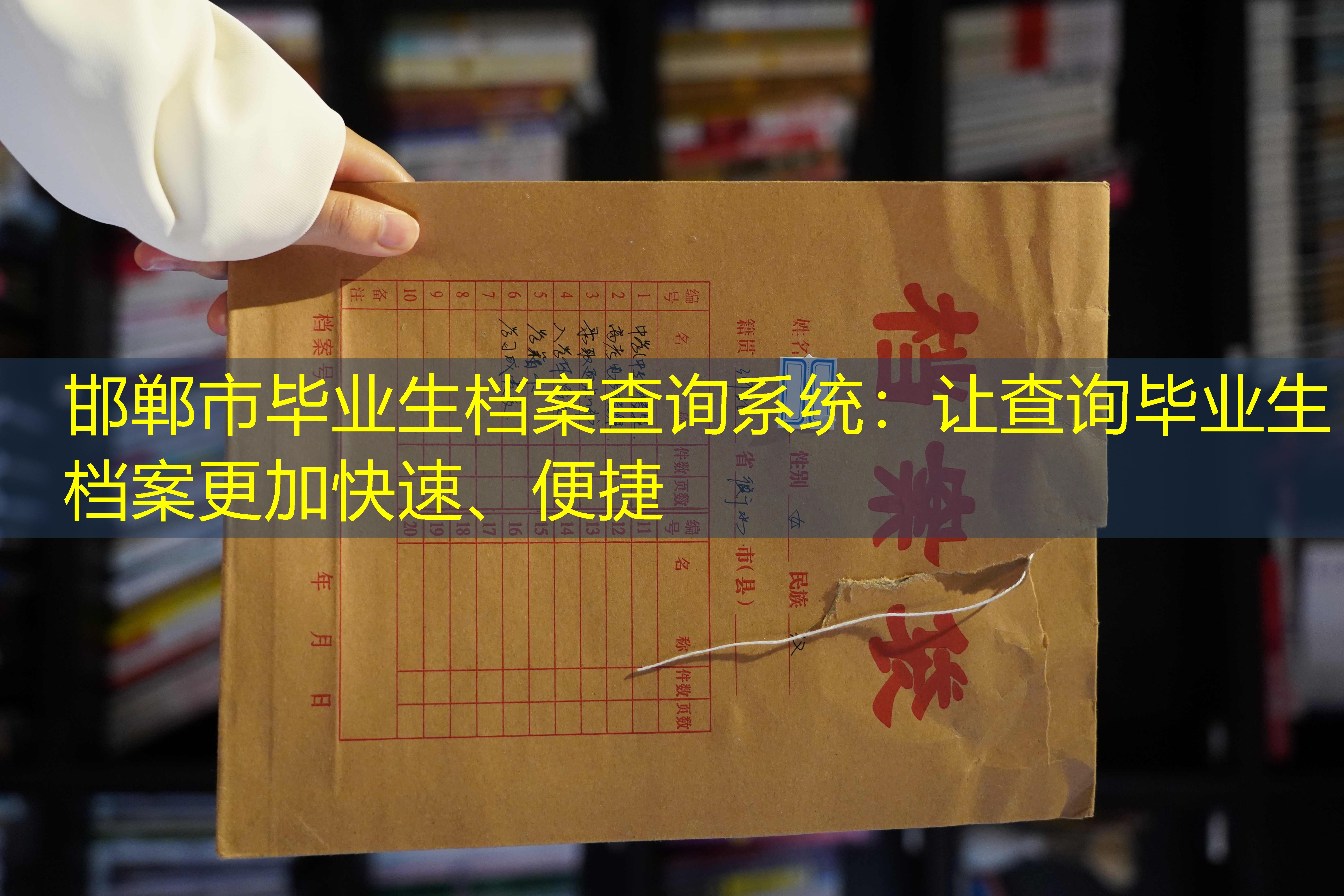 档案查询