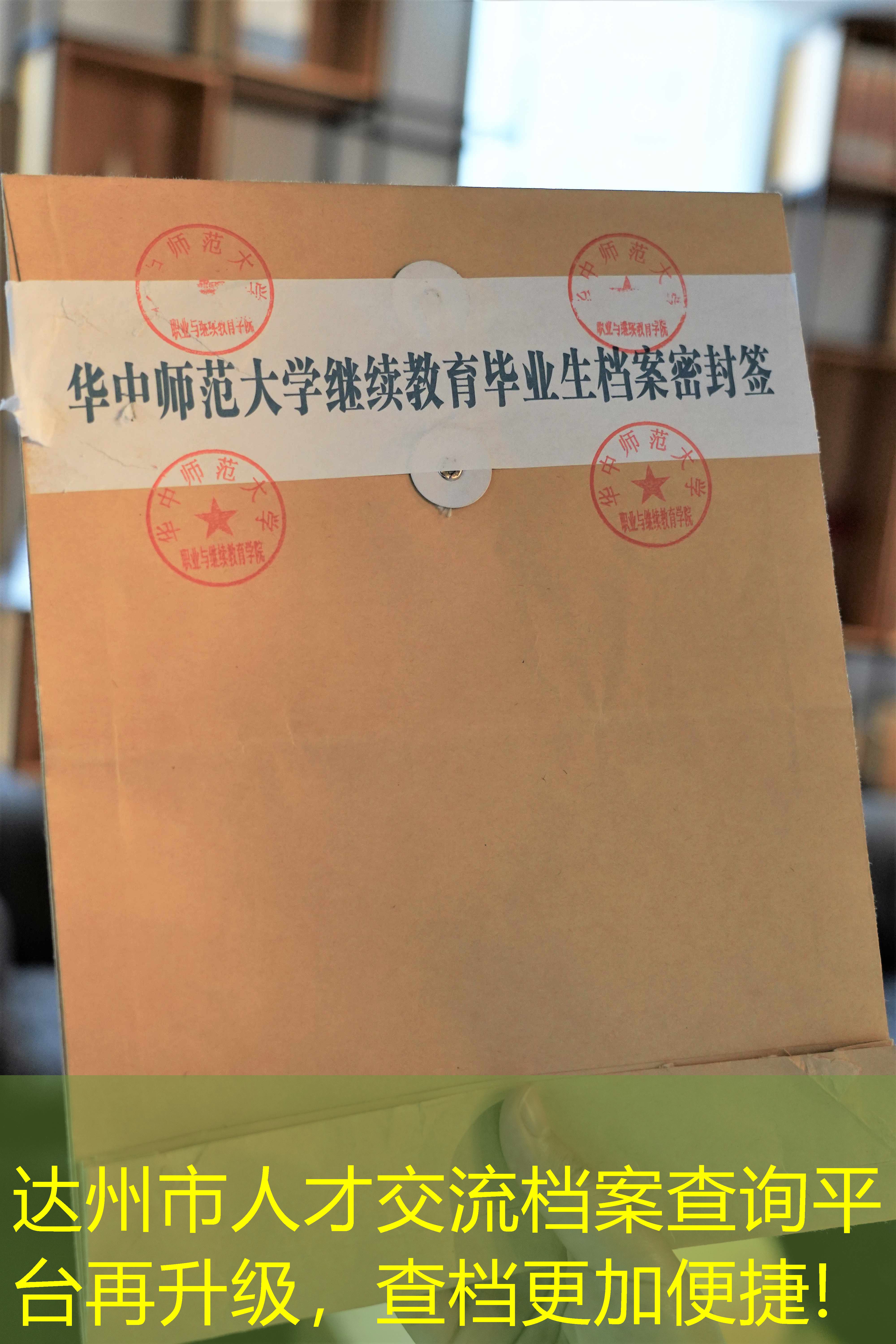 档案查询