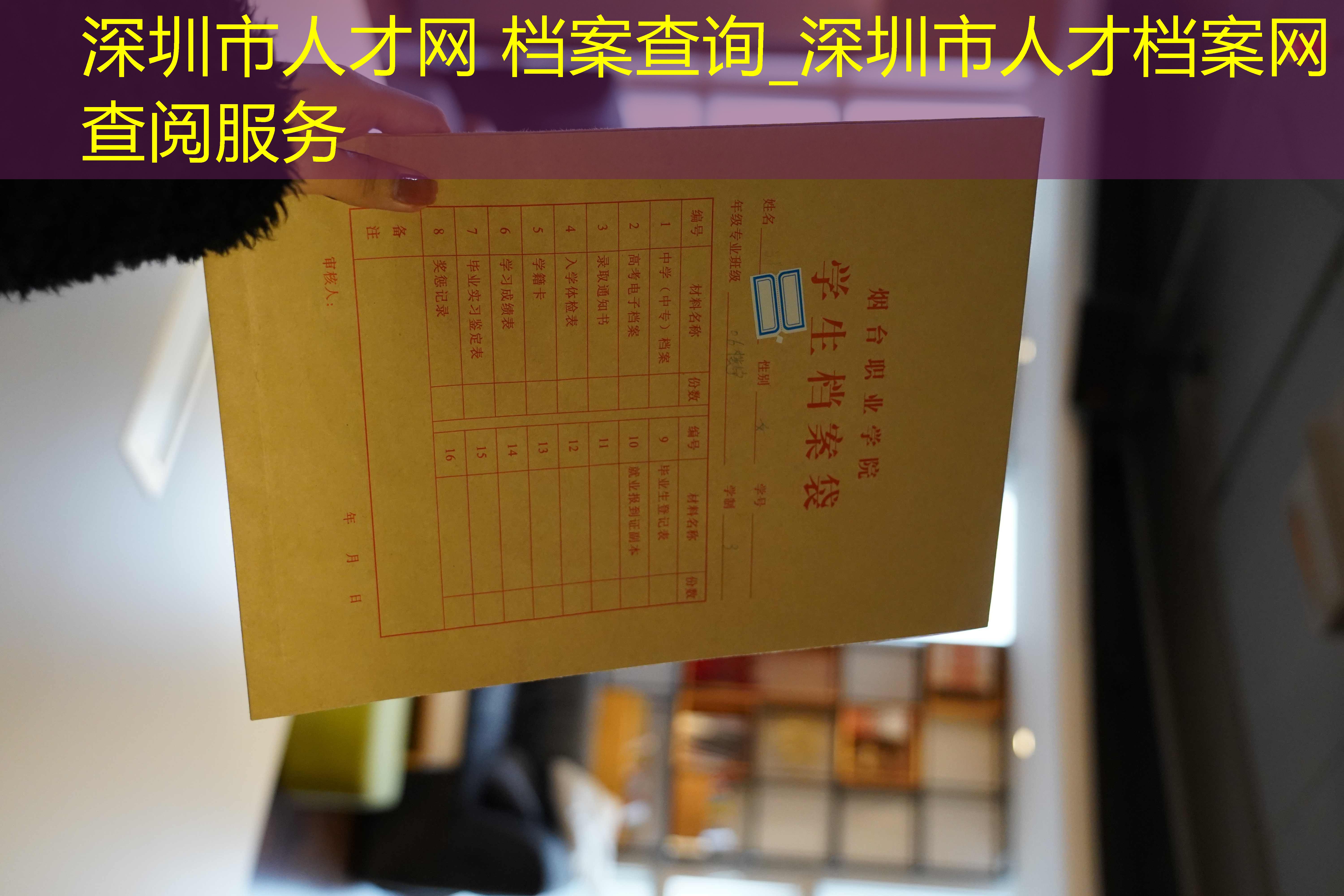 档案查询