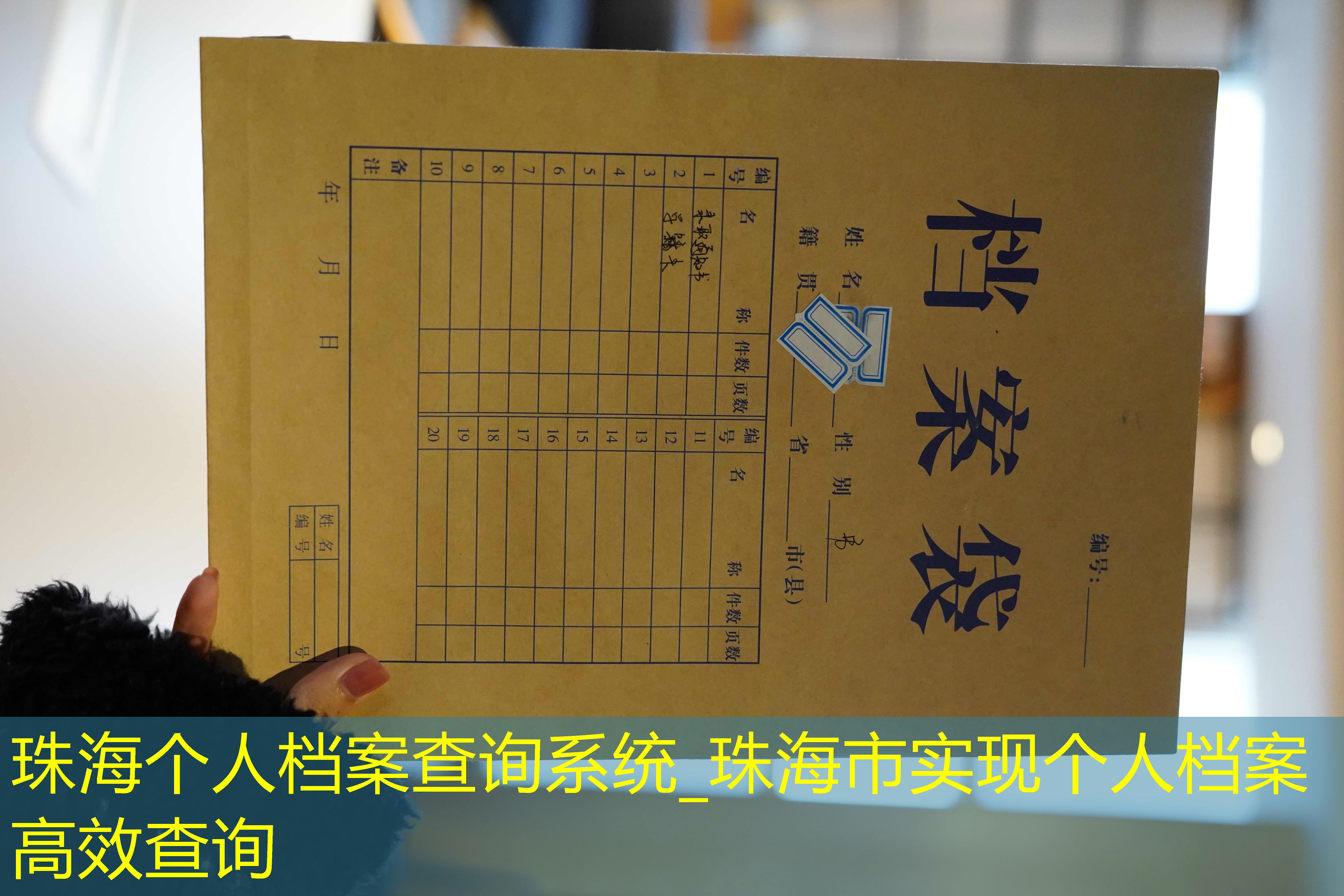 档案查询