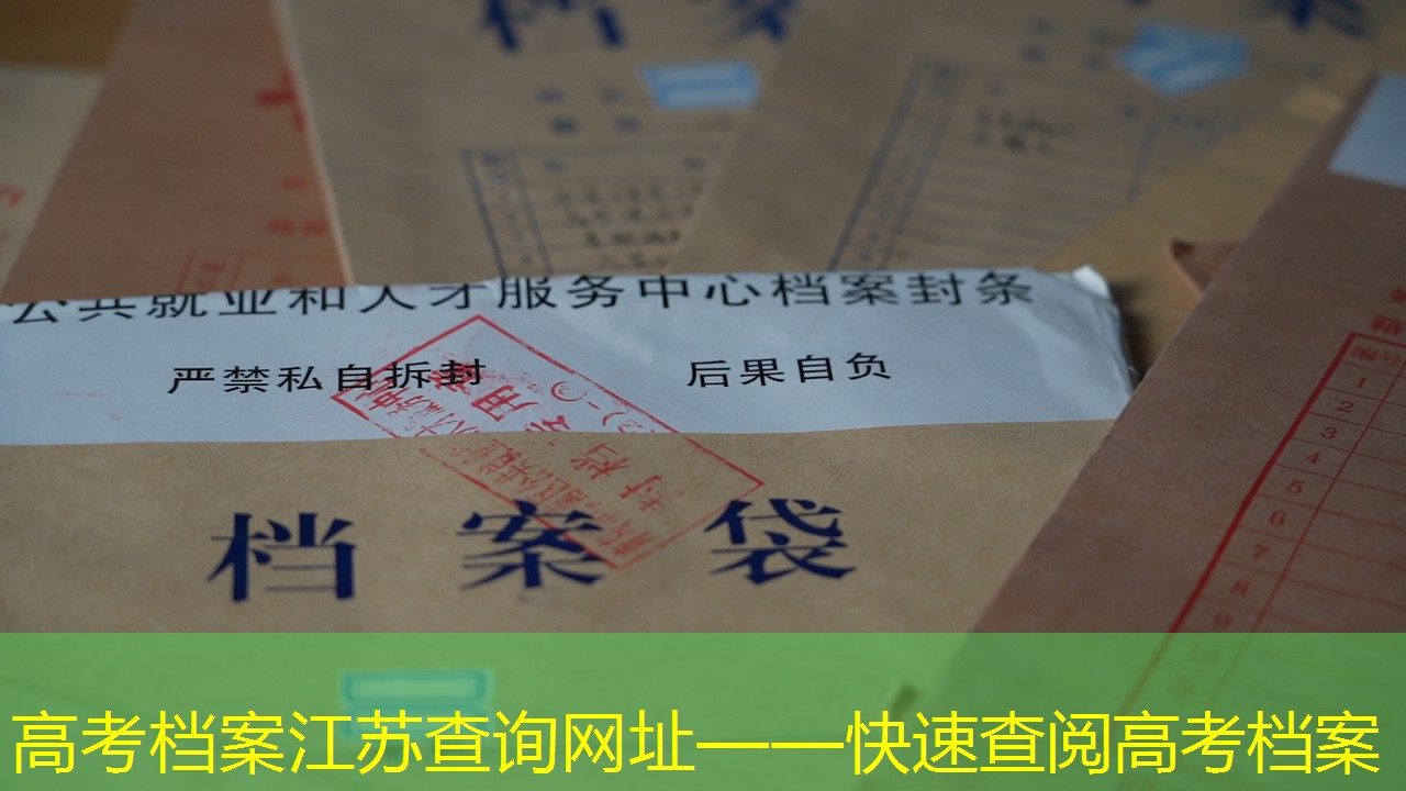 档案查询