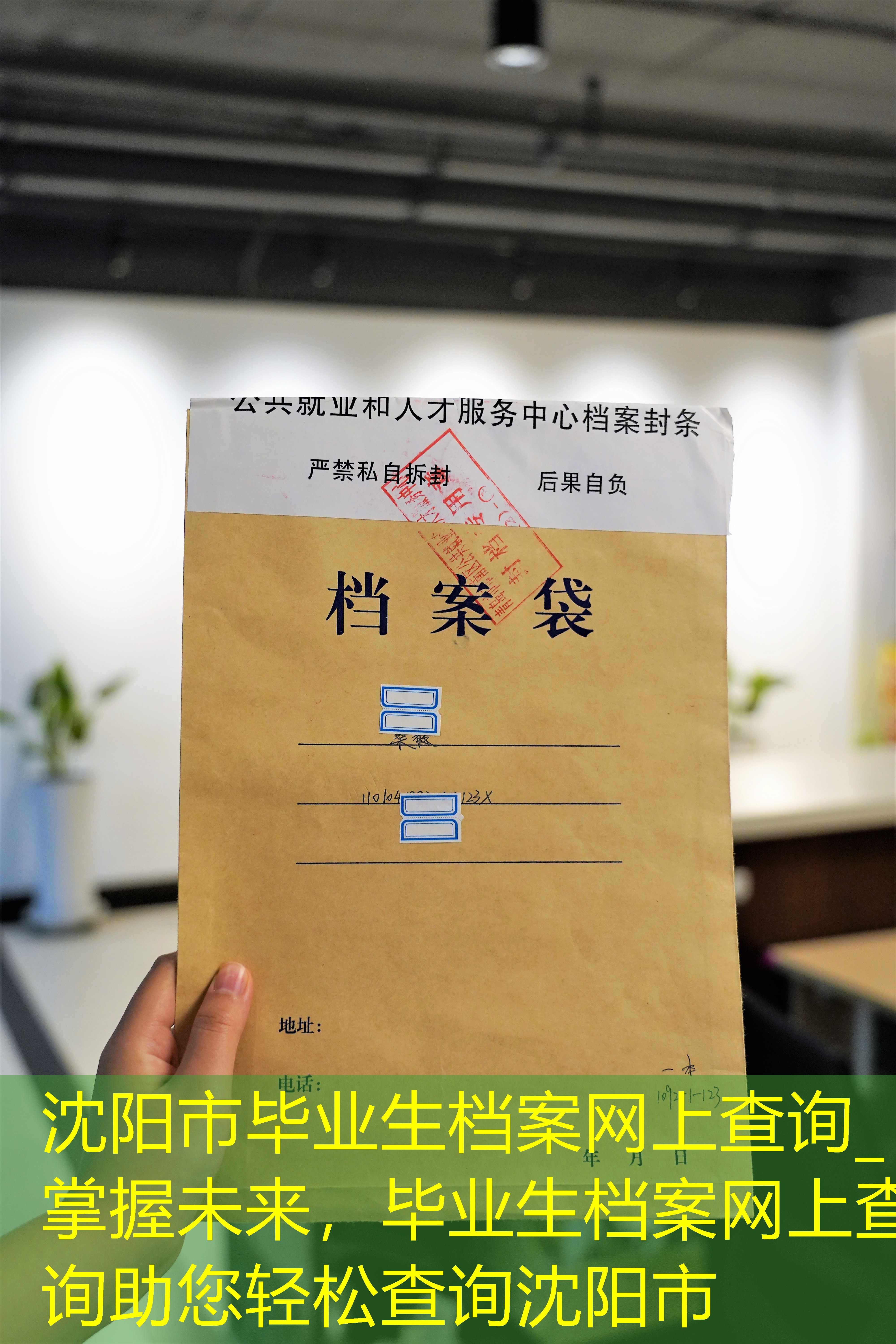 档案查询