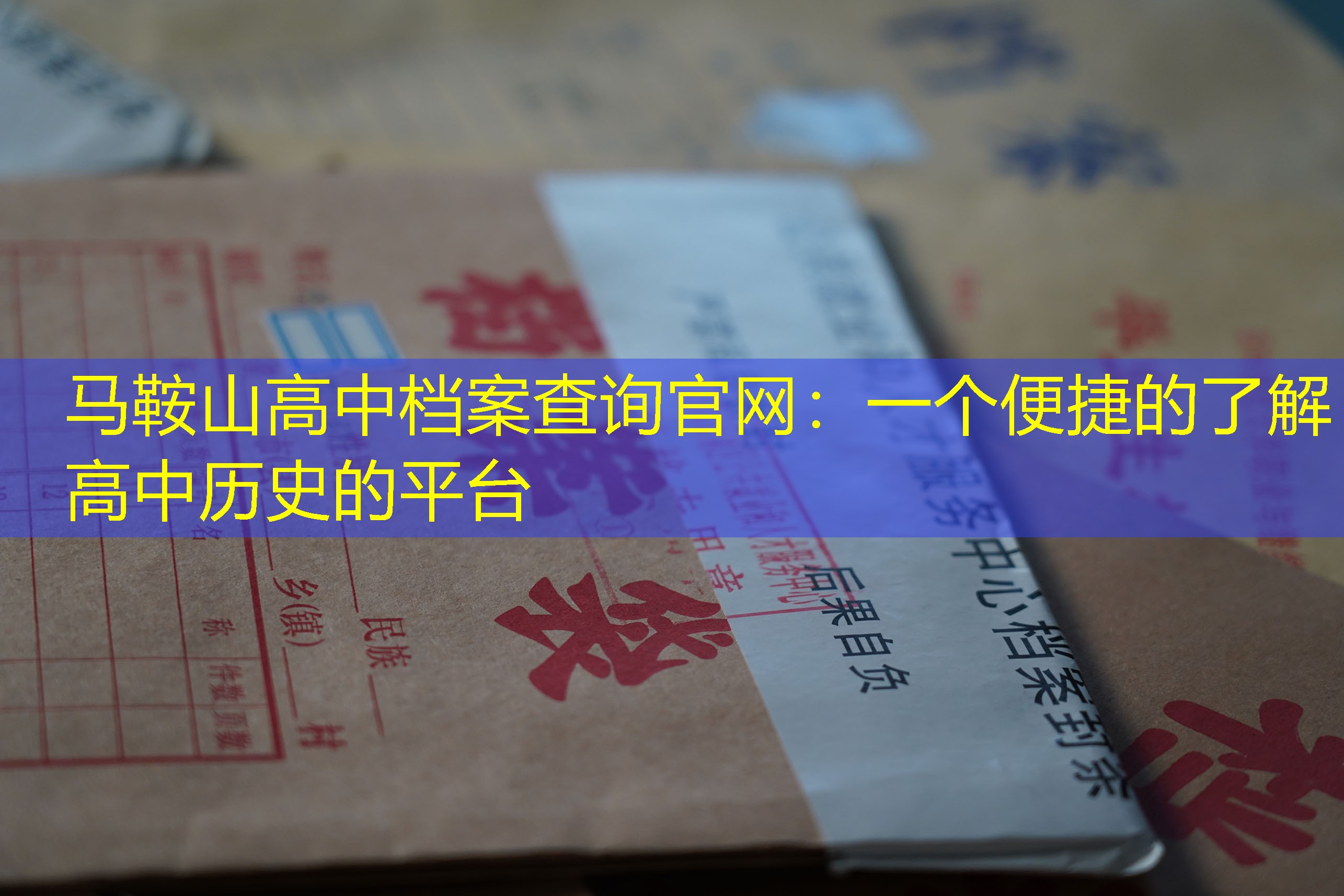 档案查询