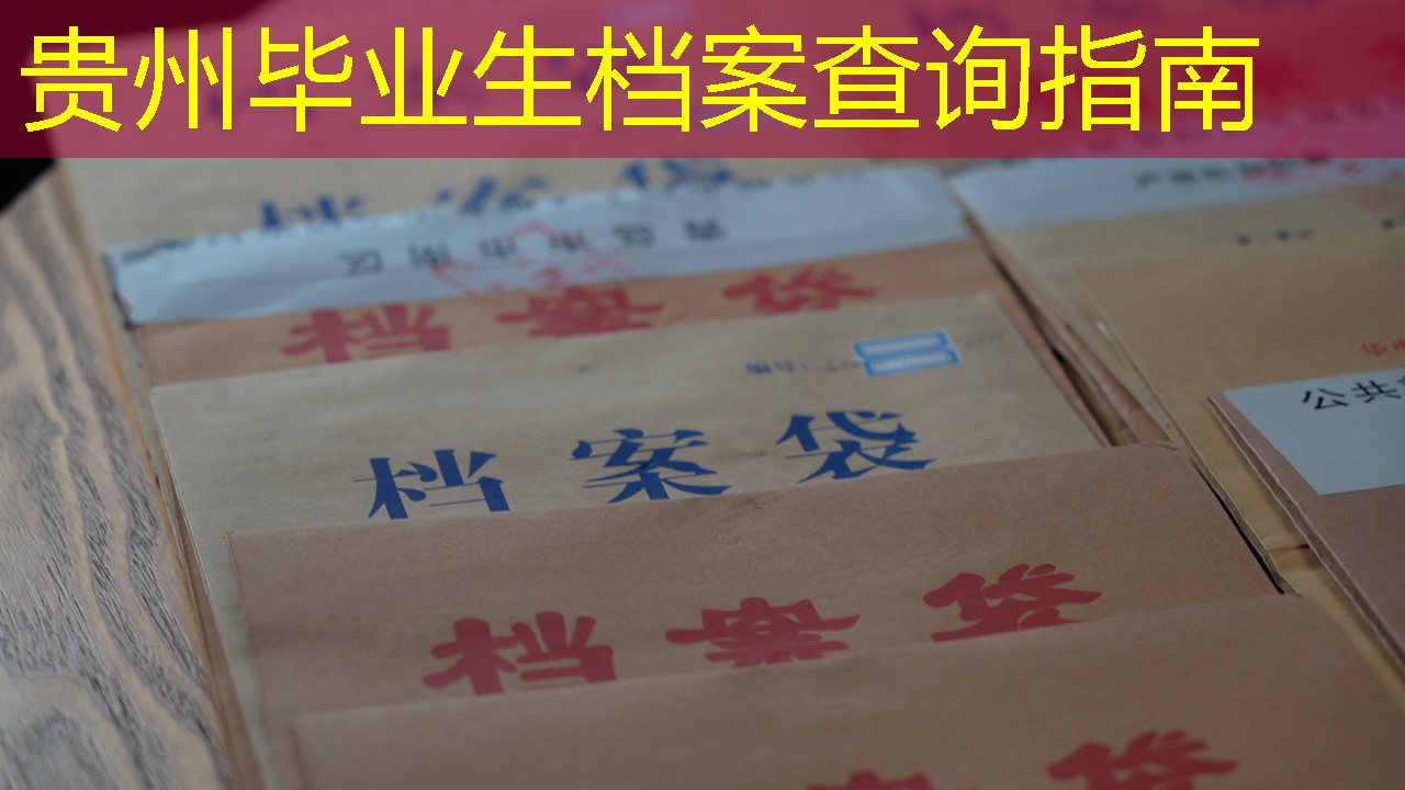 档案查询