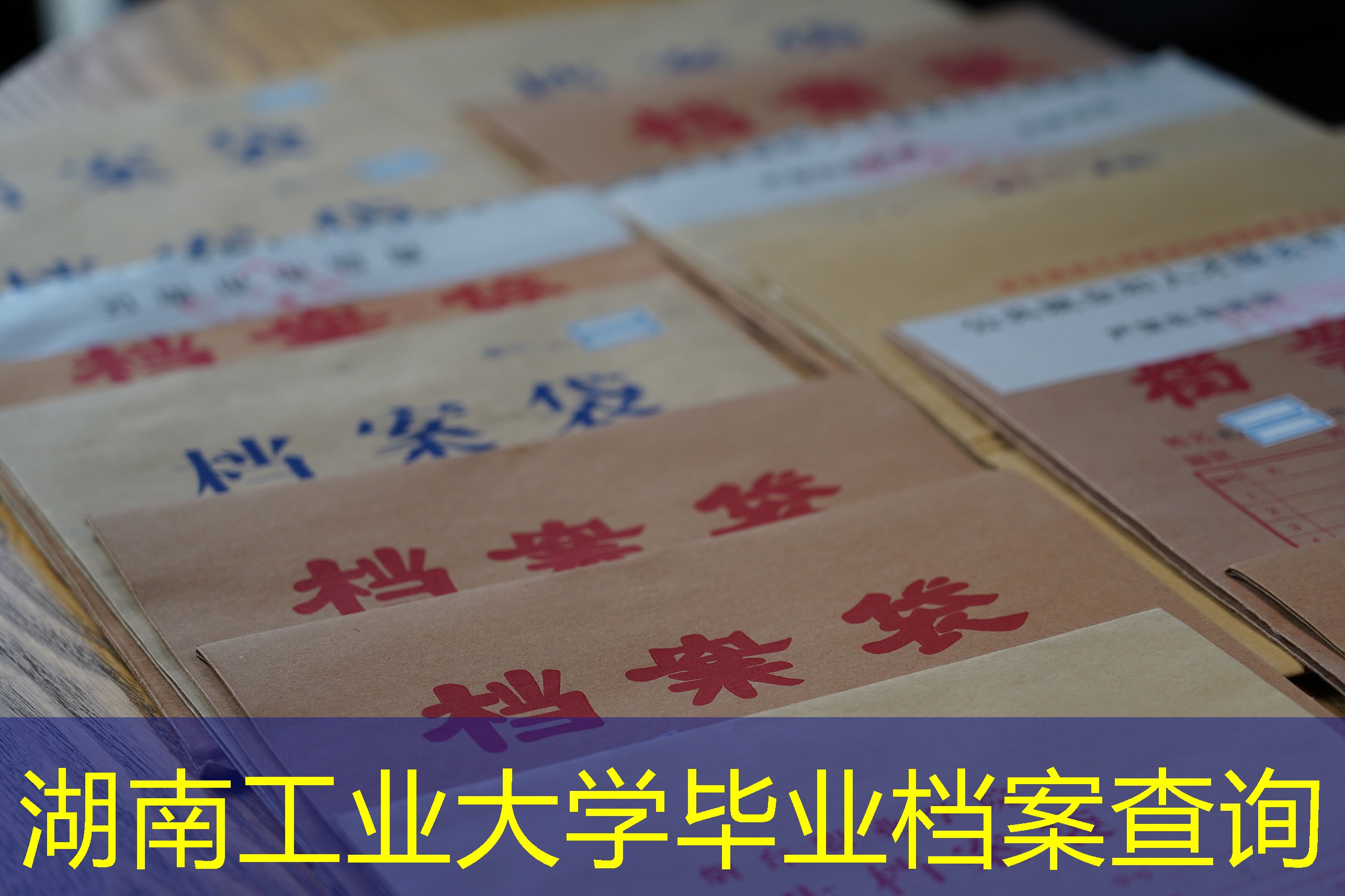 档案查询