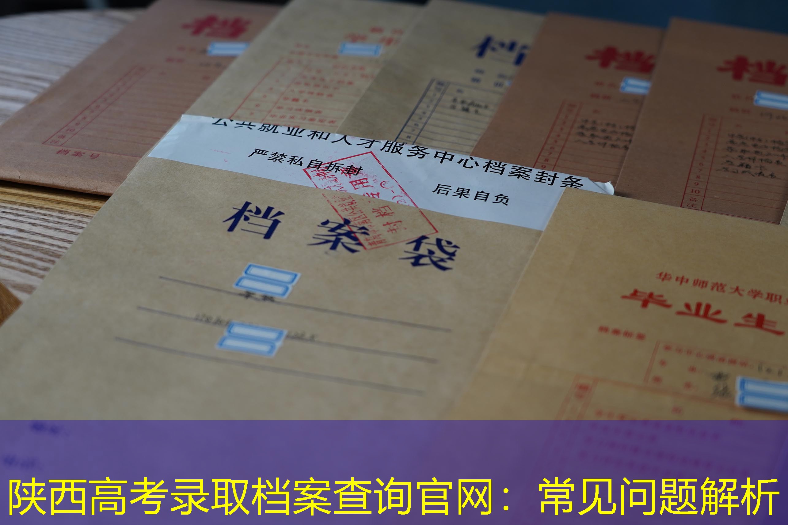 档案查询
