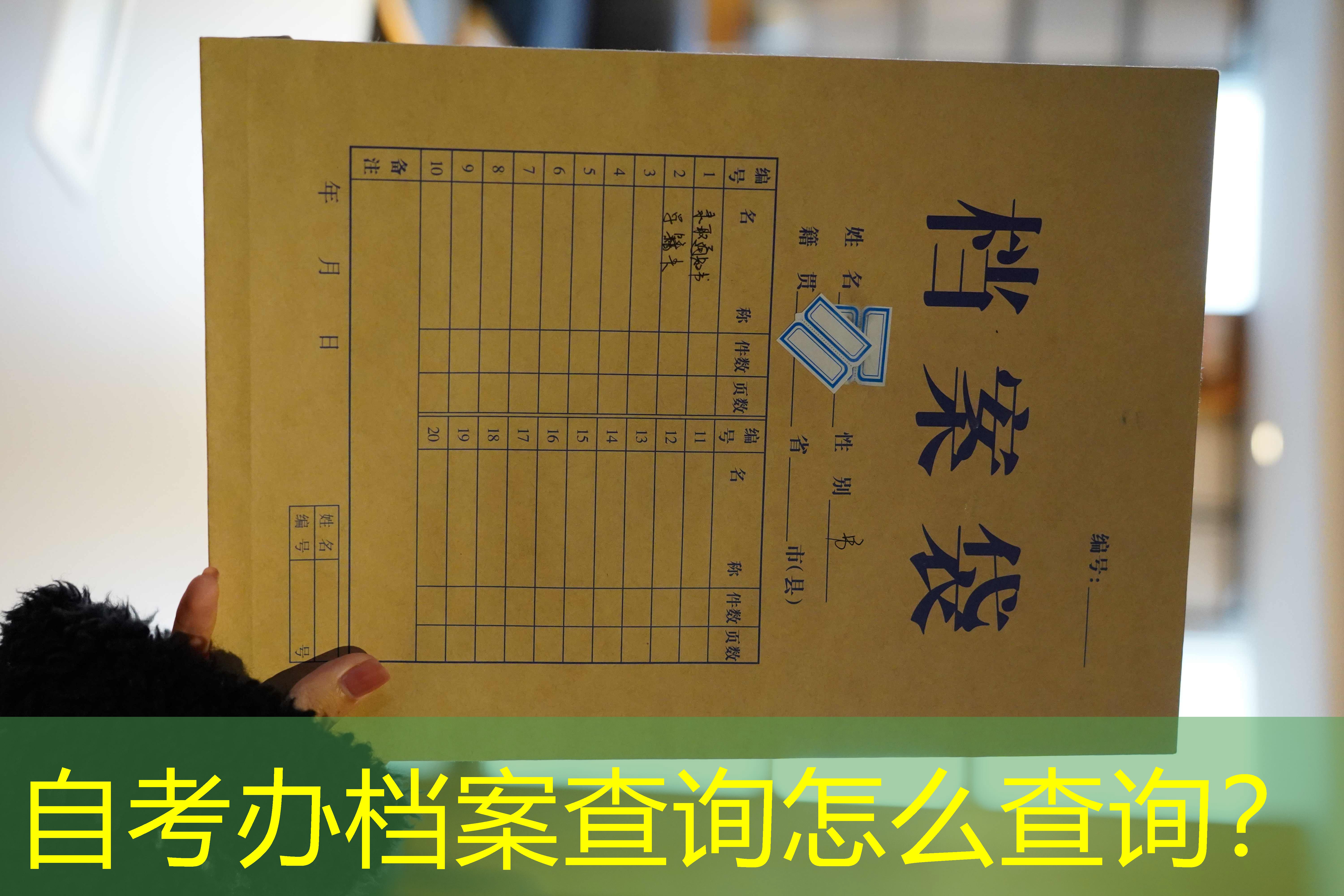 档案查询