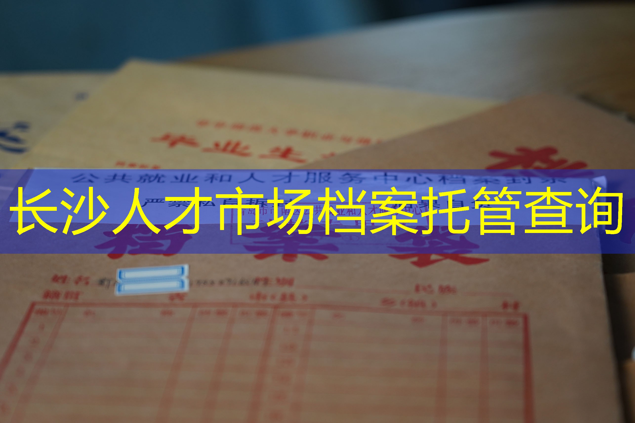 档案查询
