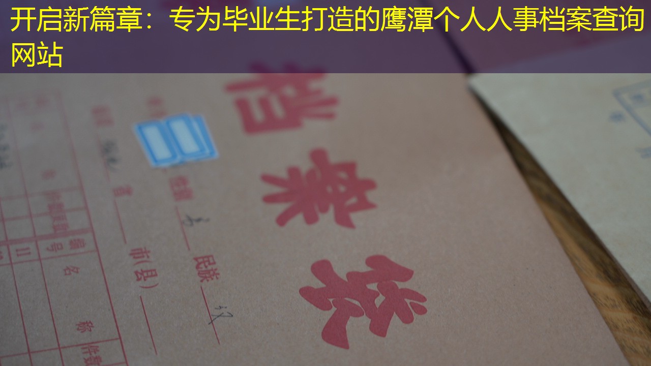 档案查询