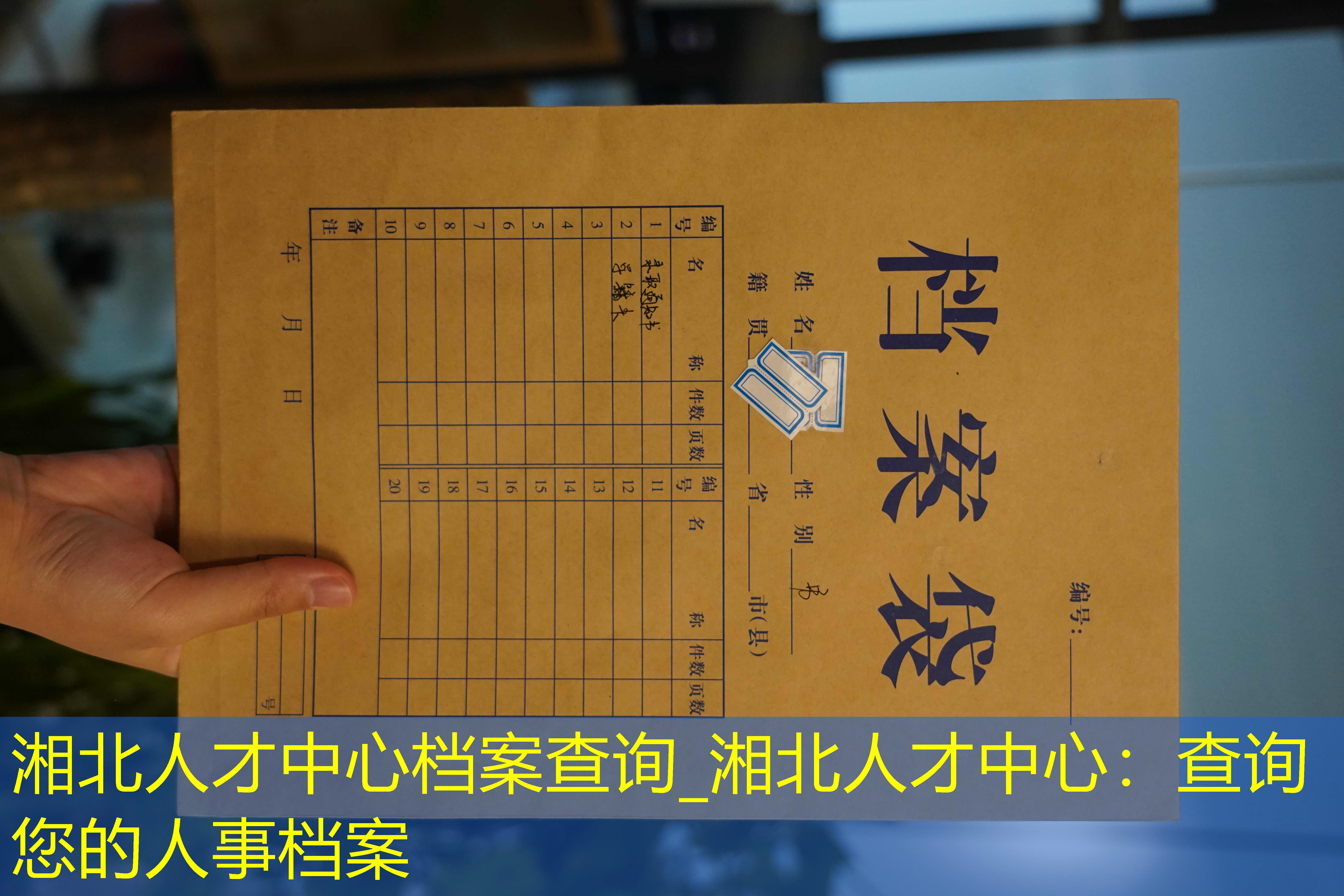 档案查询