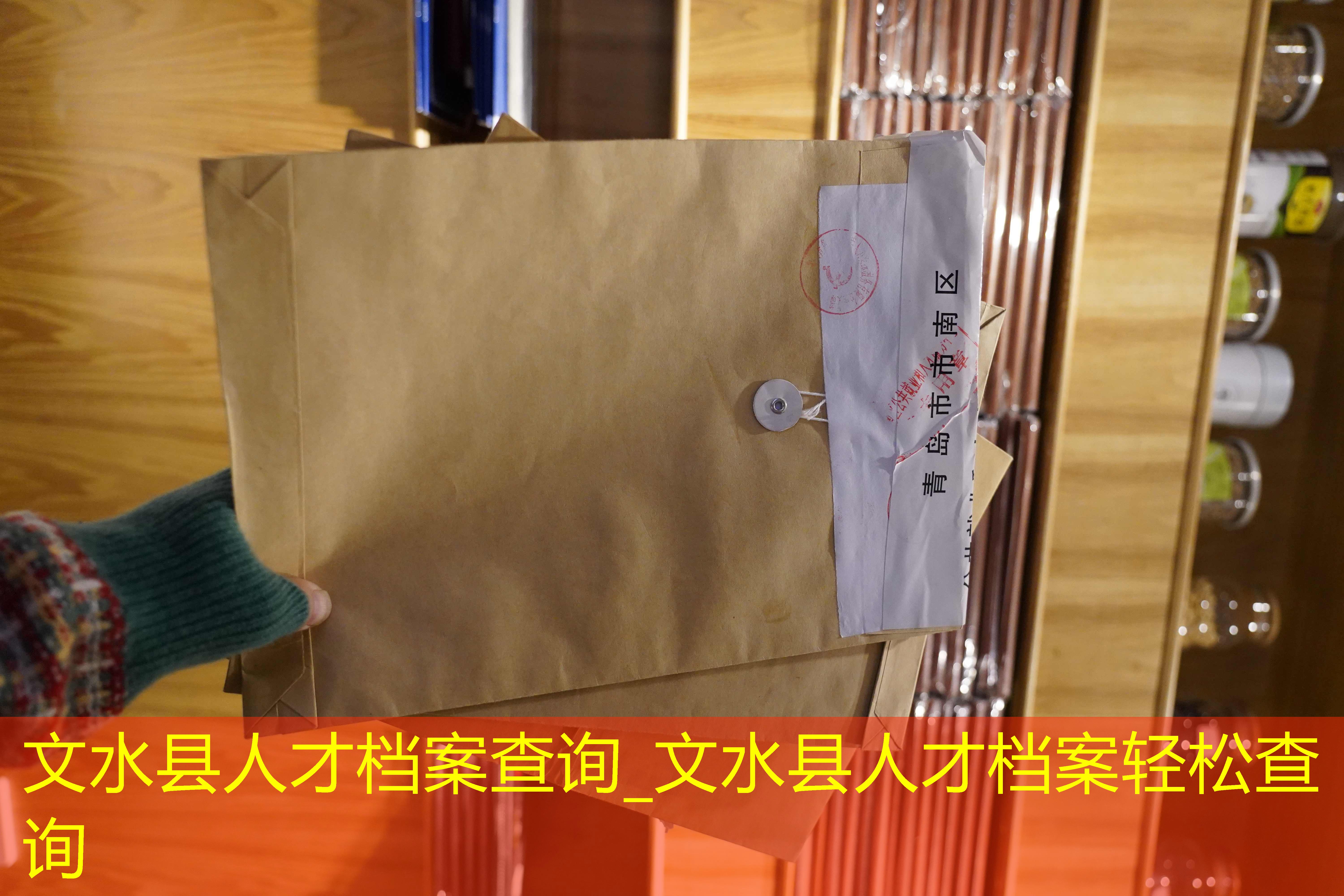 档案查询