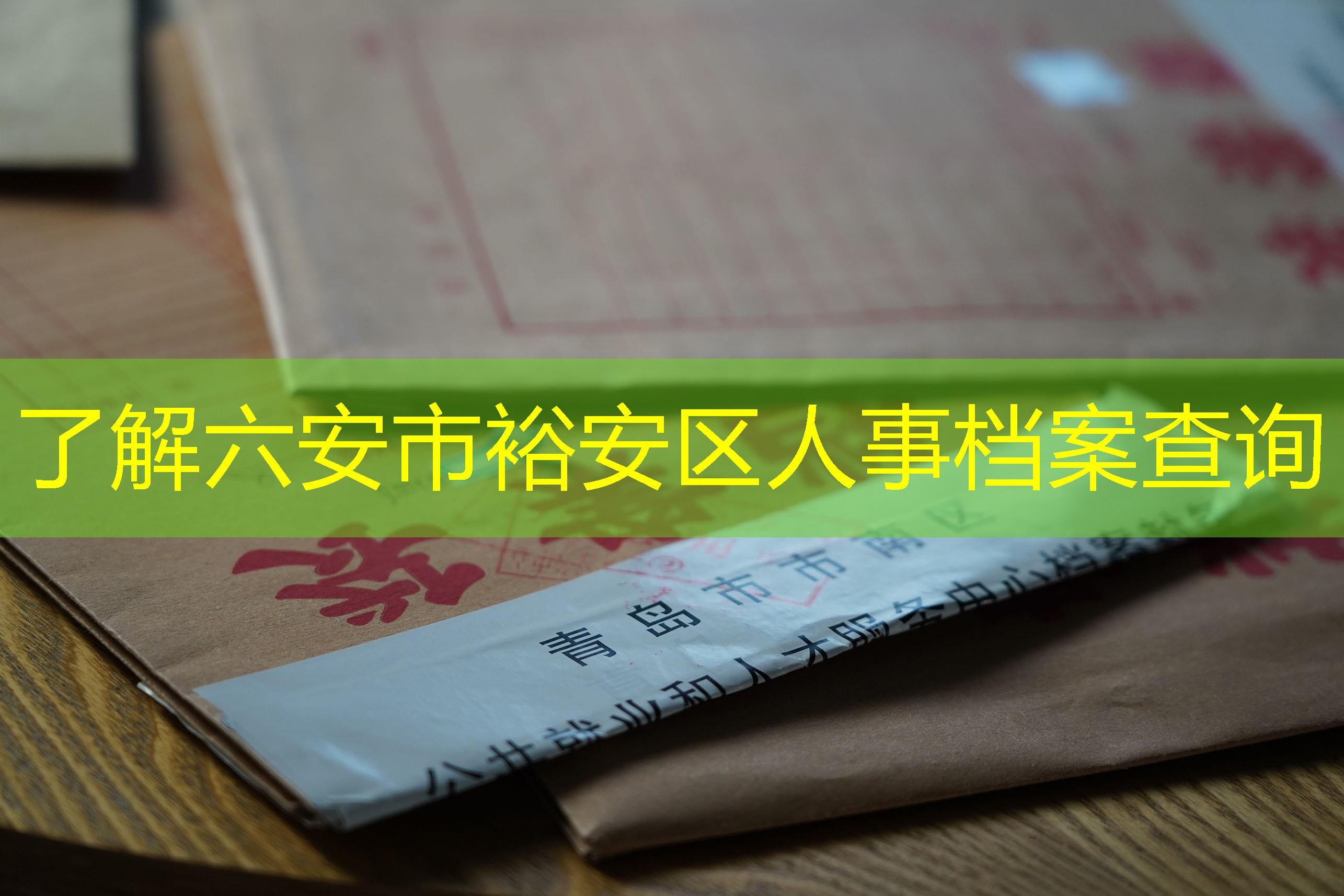 档案查询
