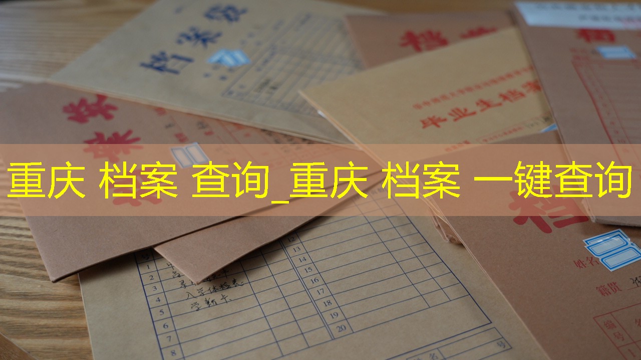 档案查询
