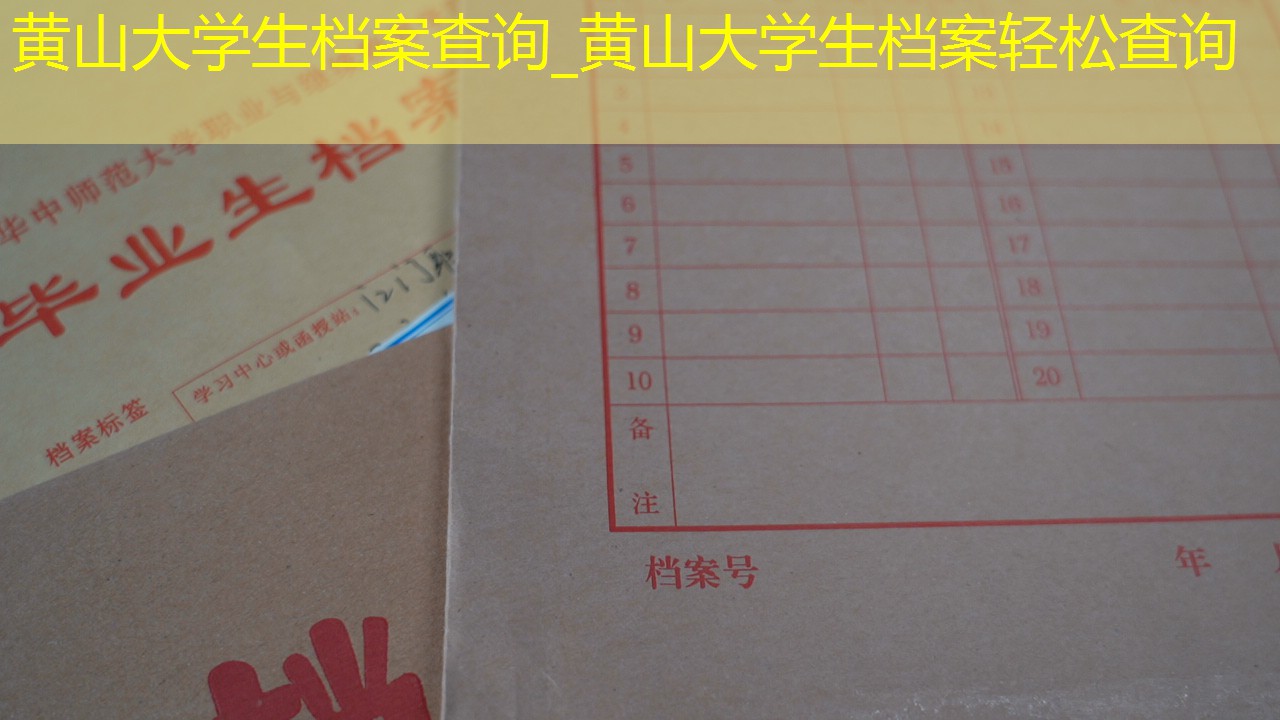 档案查询