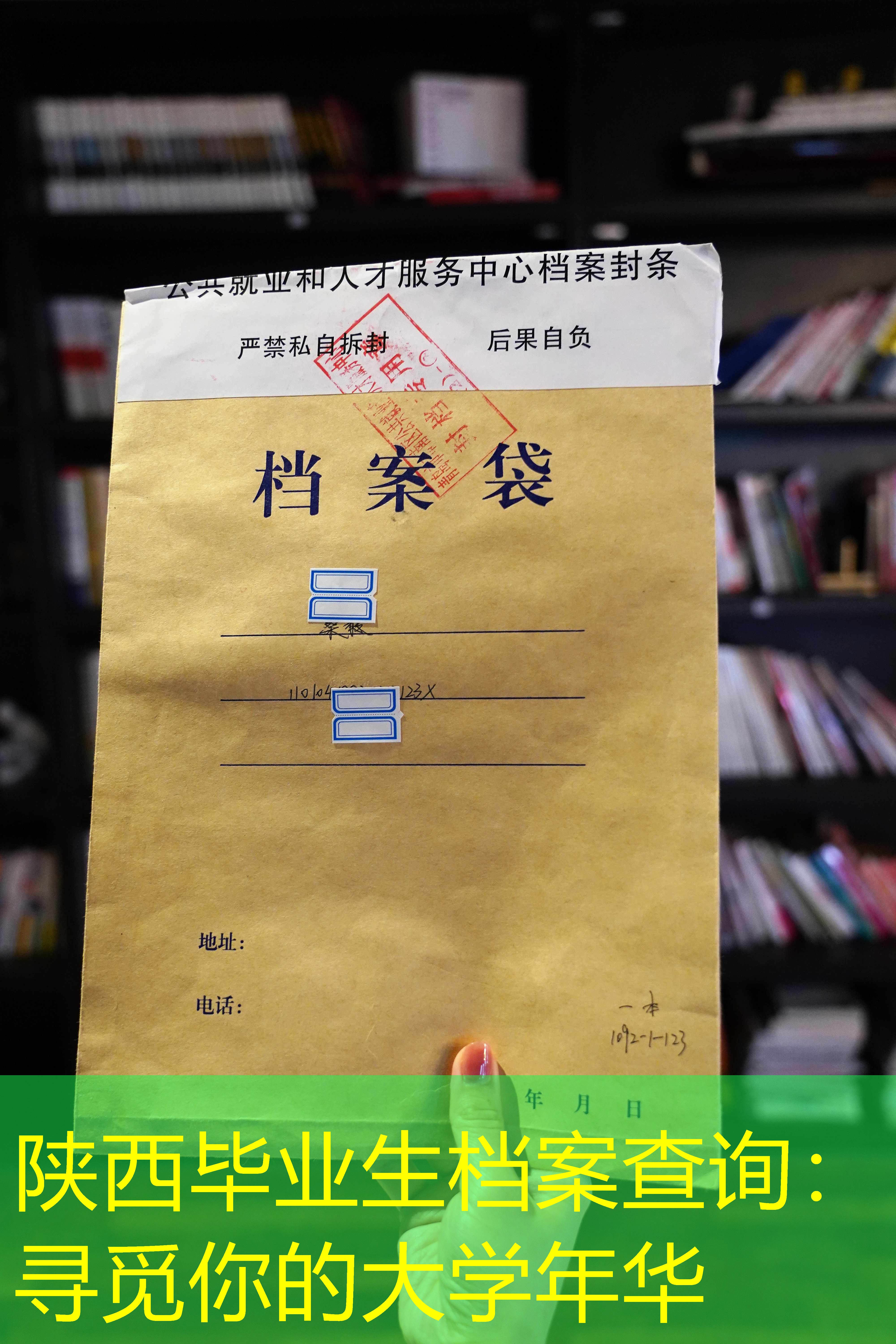 档案查询