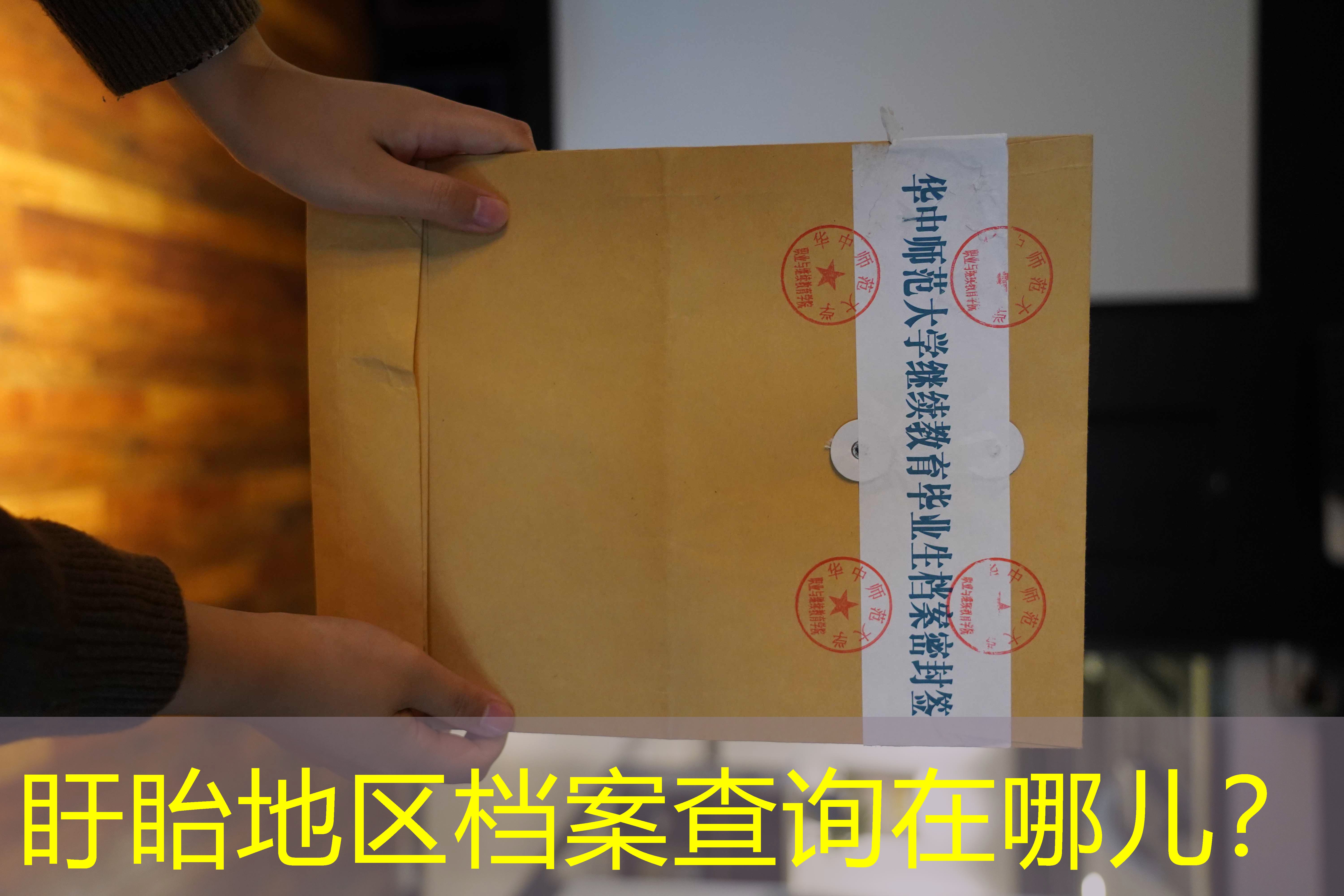 档案查询