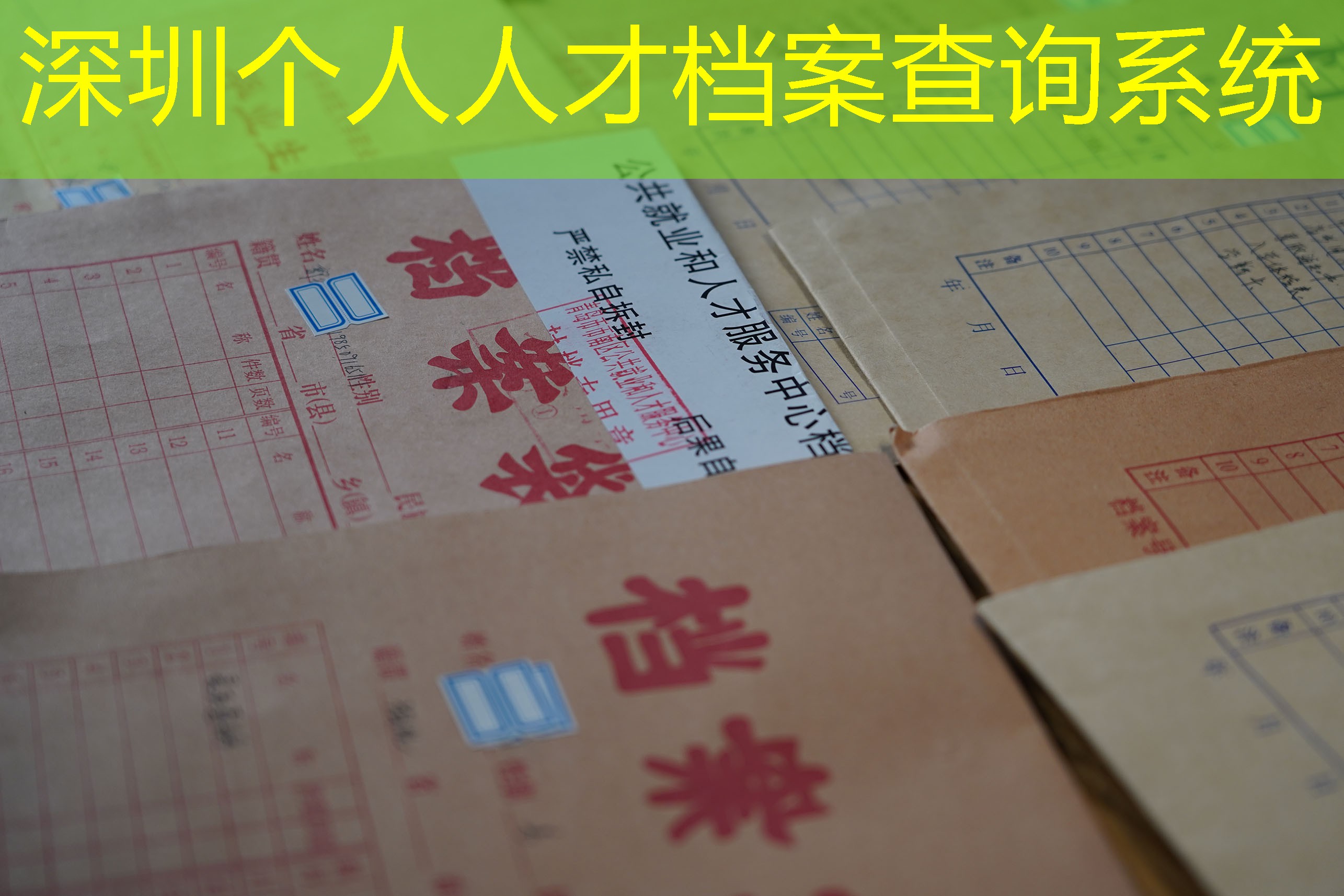 档案查询